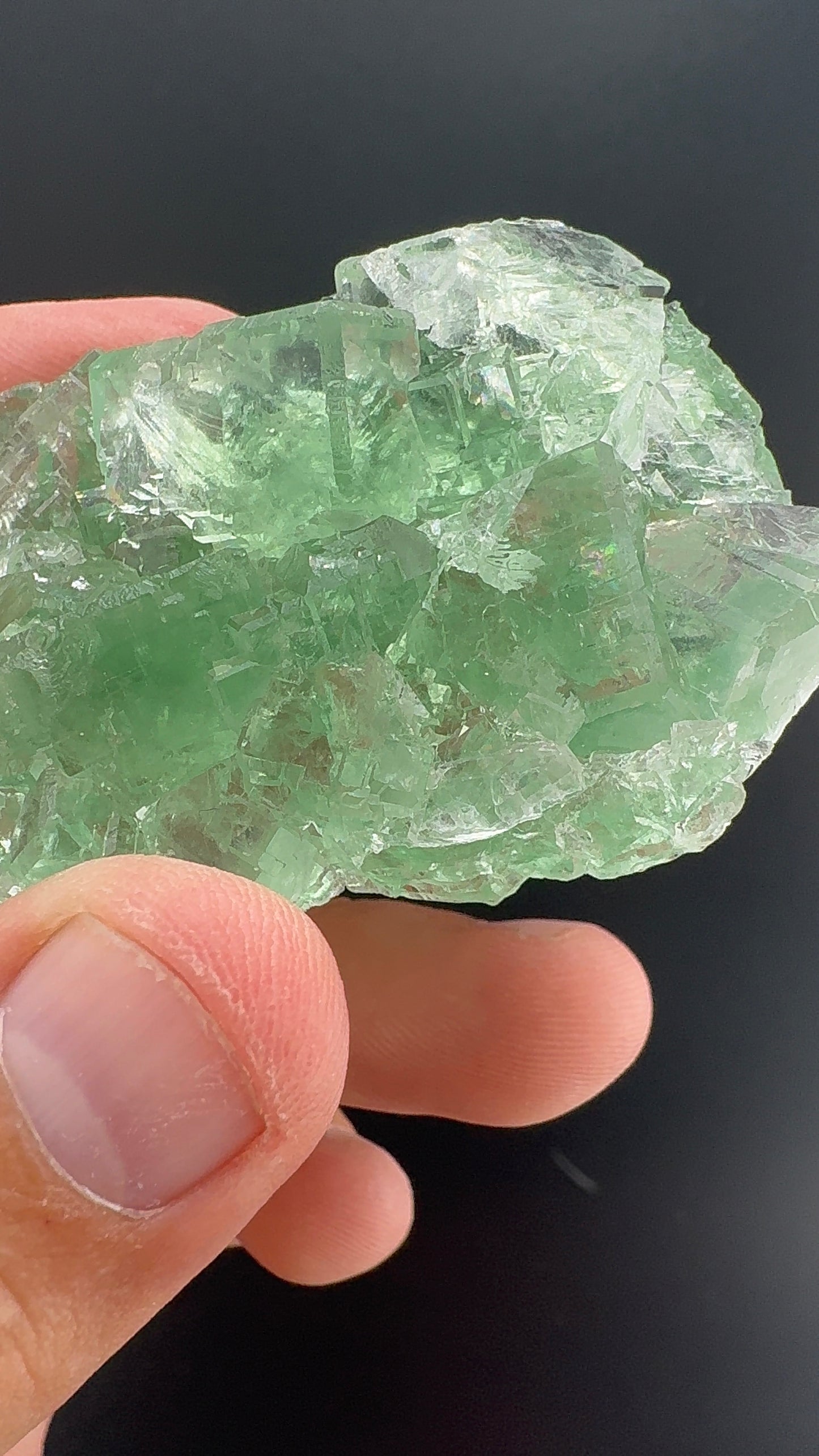 Fluorite Collection 7