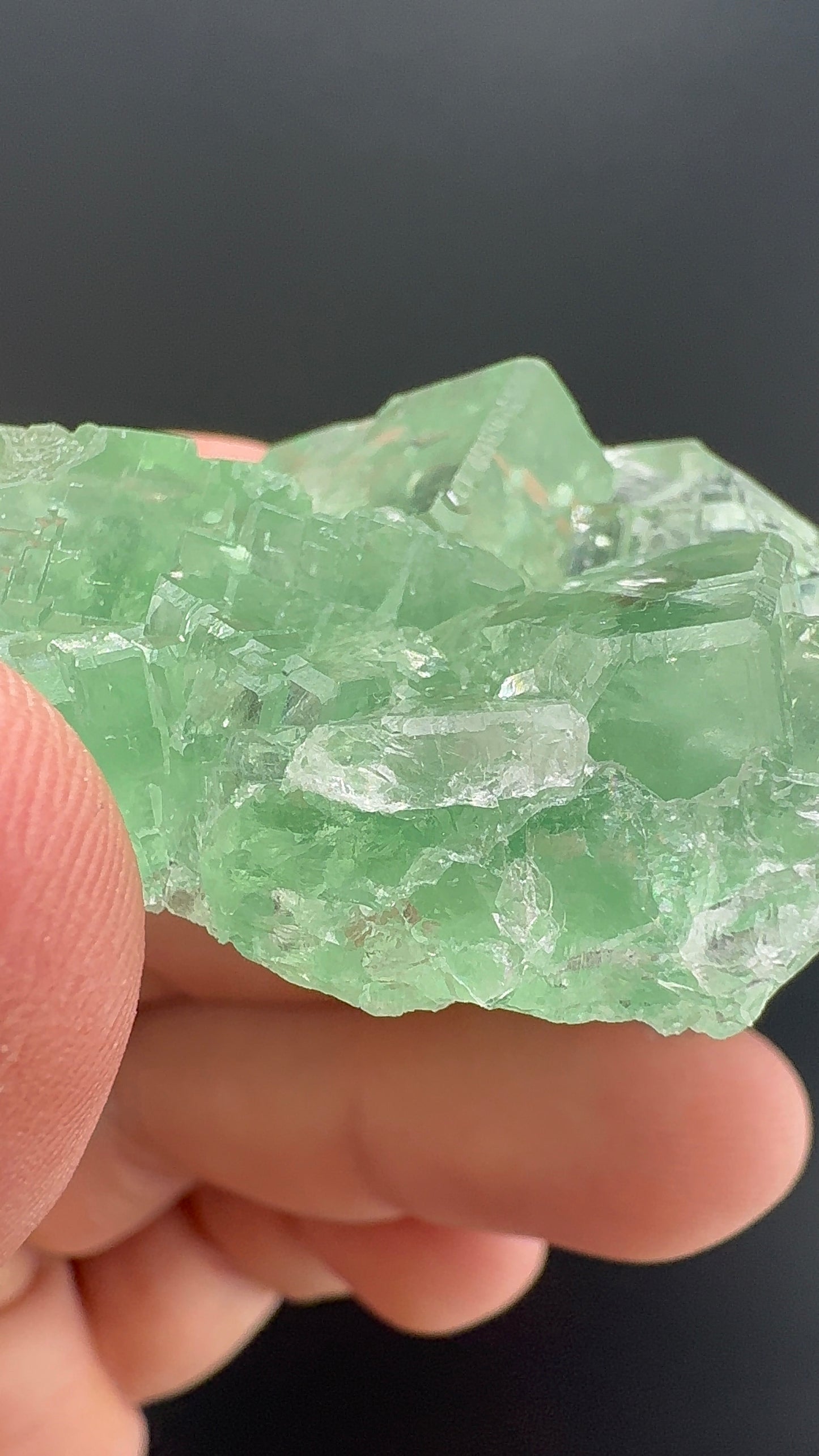 Fluorite Collection 7