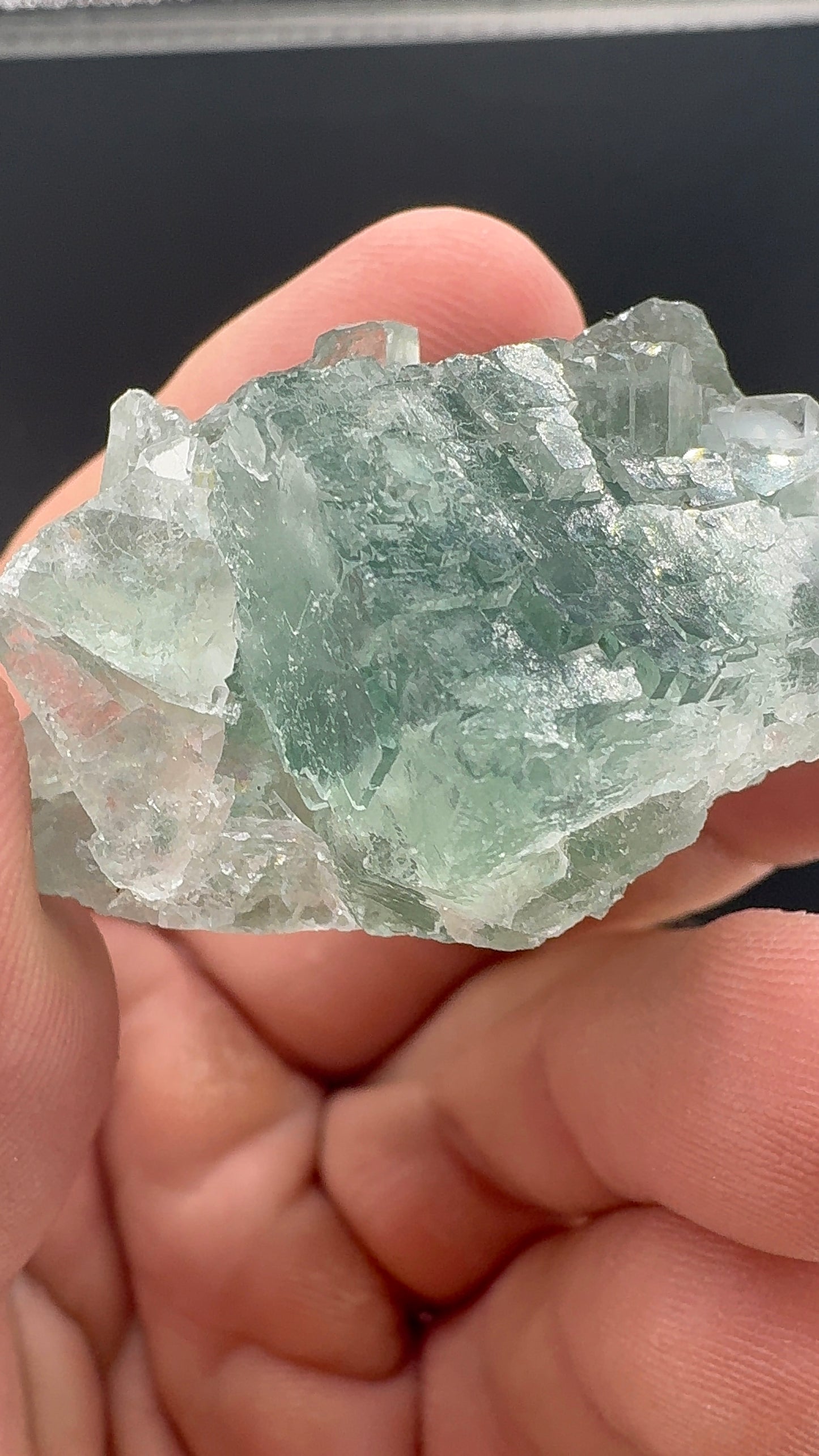 Fluorite Collection 7