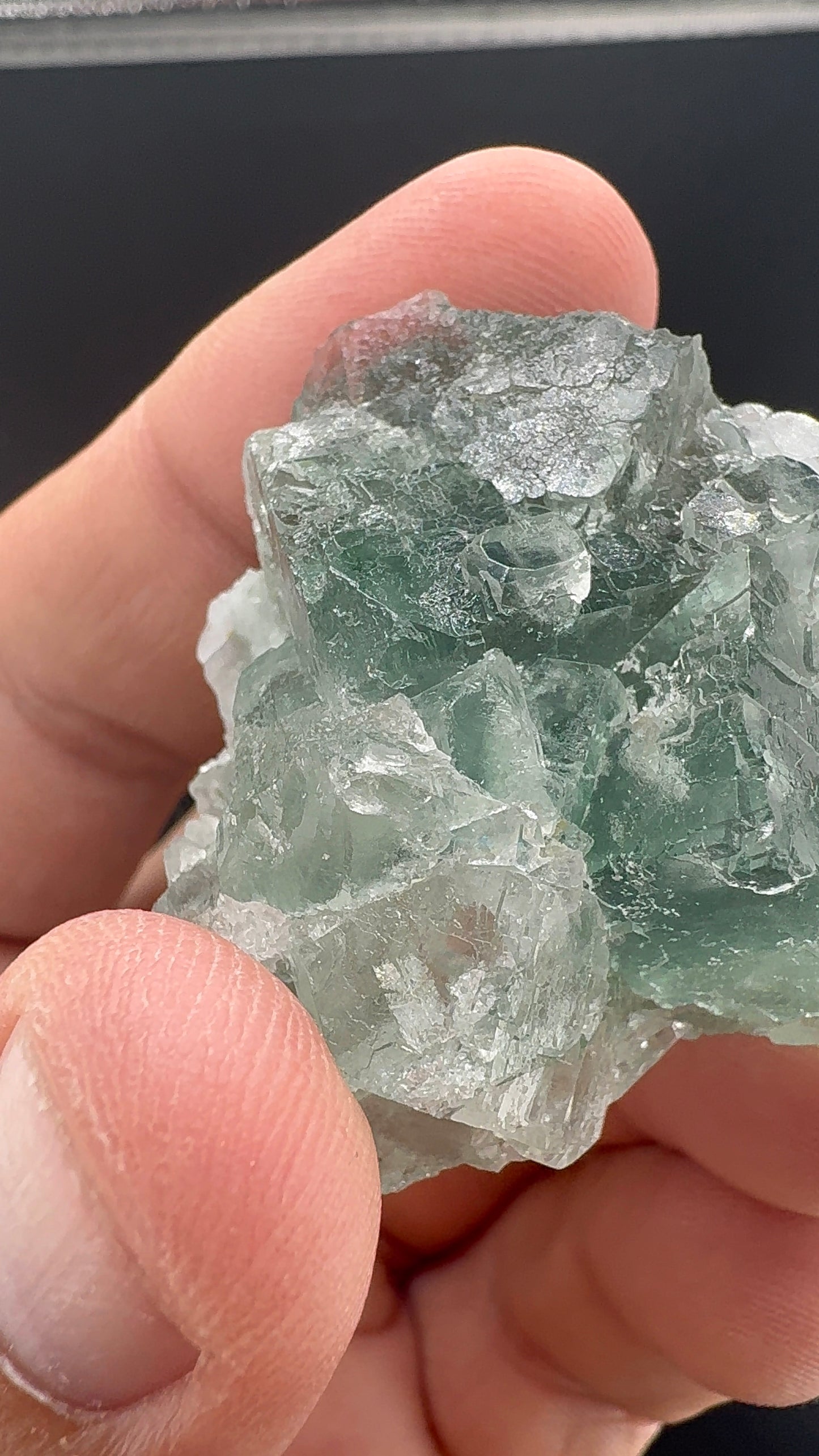 Fluorite Collection 7