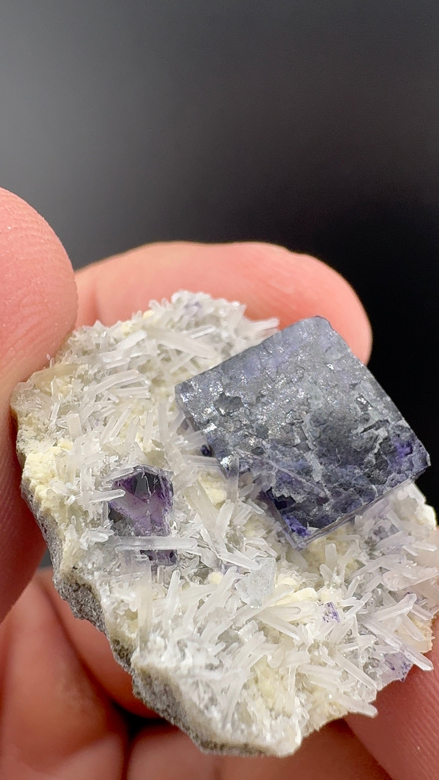 Fluorite Collection 16