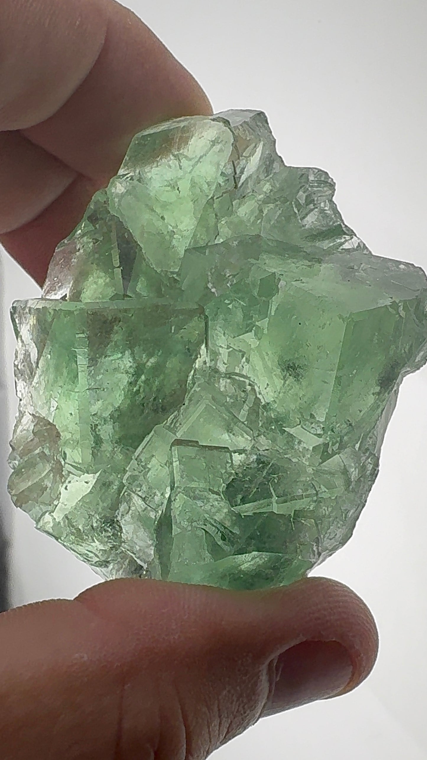 Fluorite Collection 6