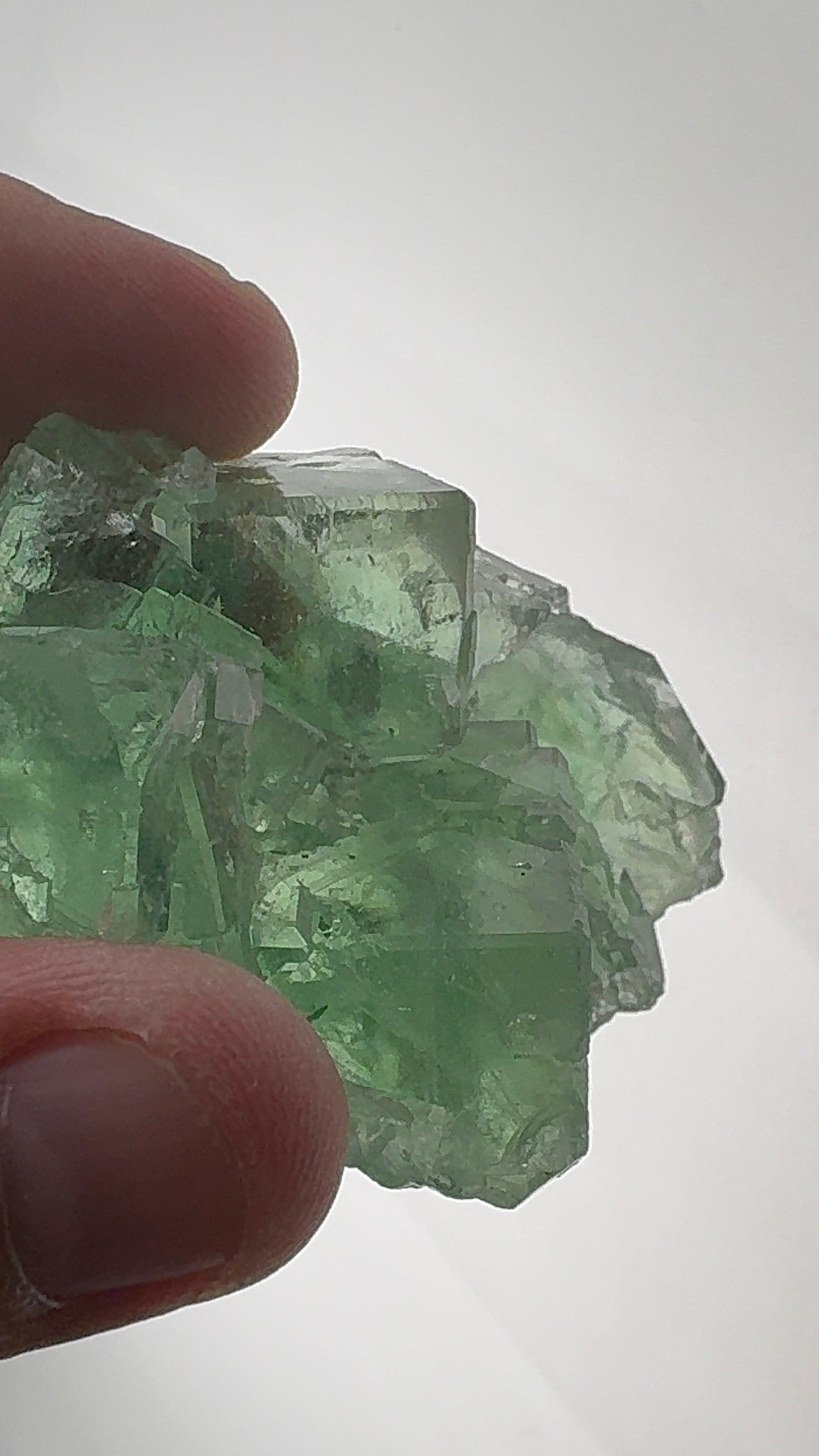 Fluorite Collection 6