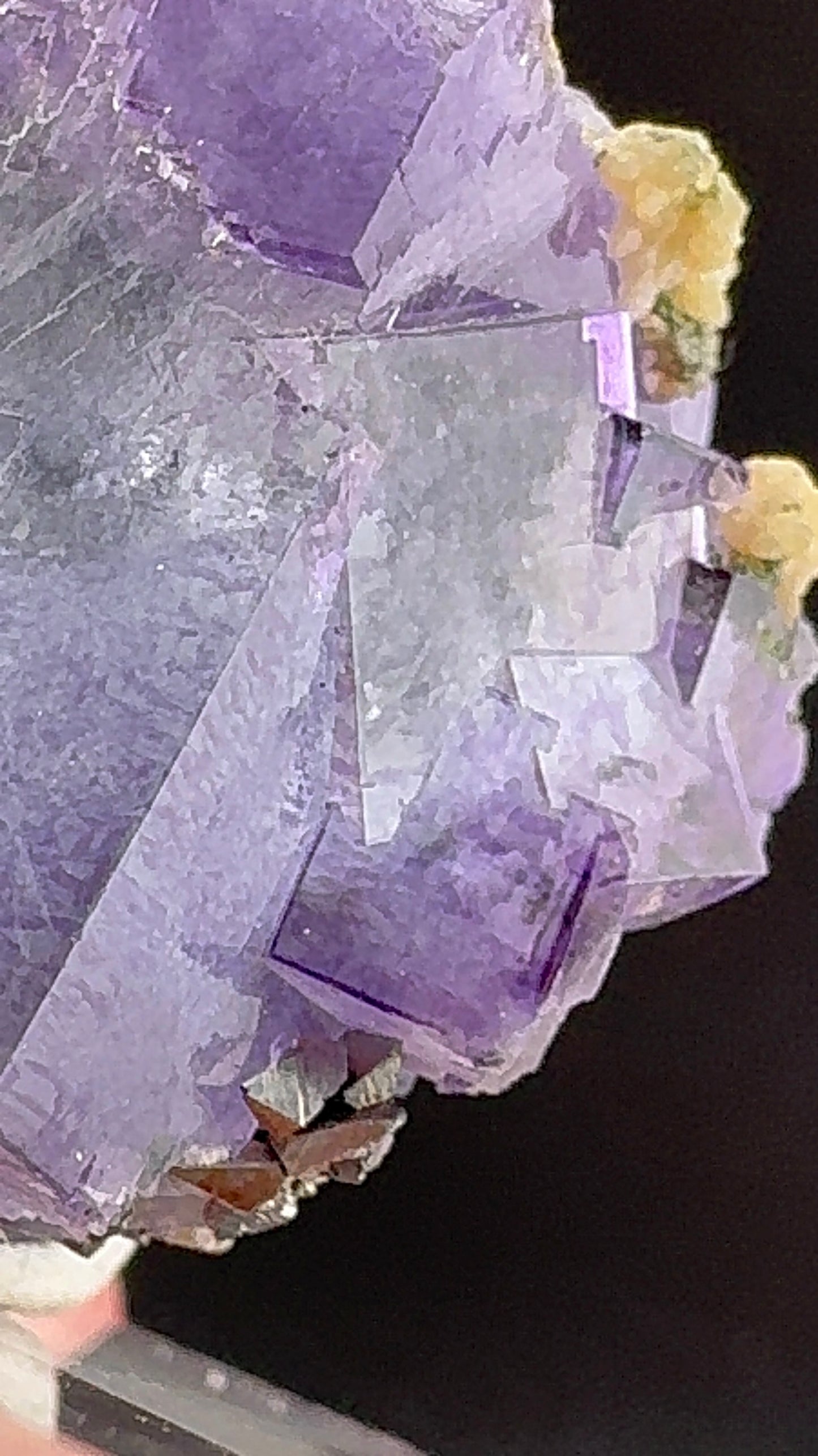 Purple Phantom Cube (B11)