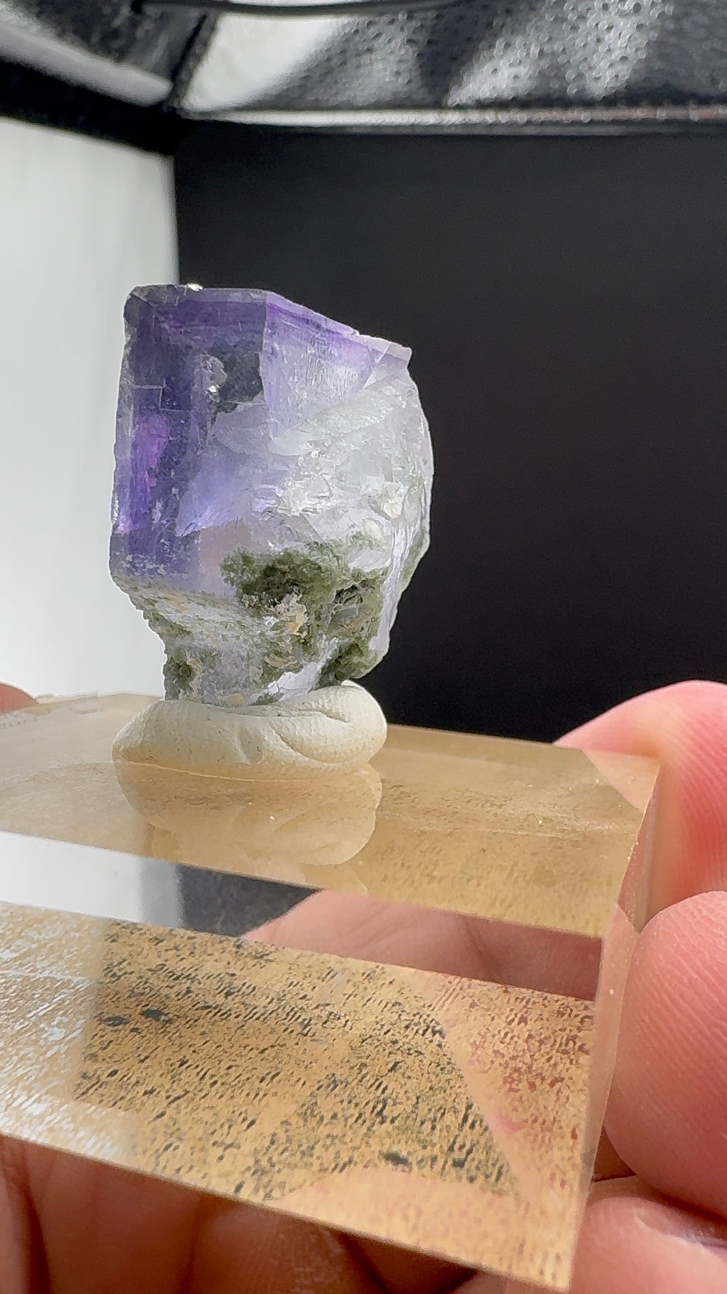 Transparent Purple Phantom (B12)