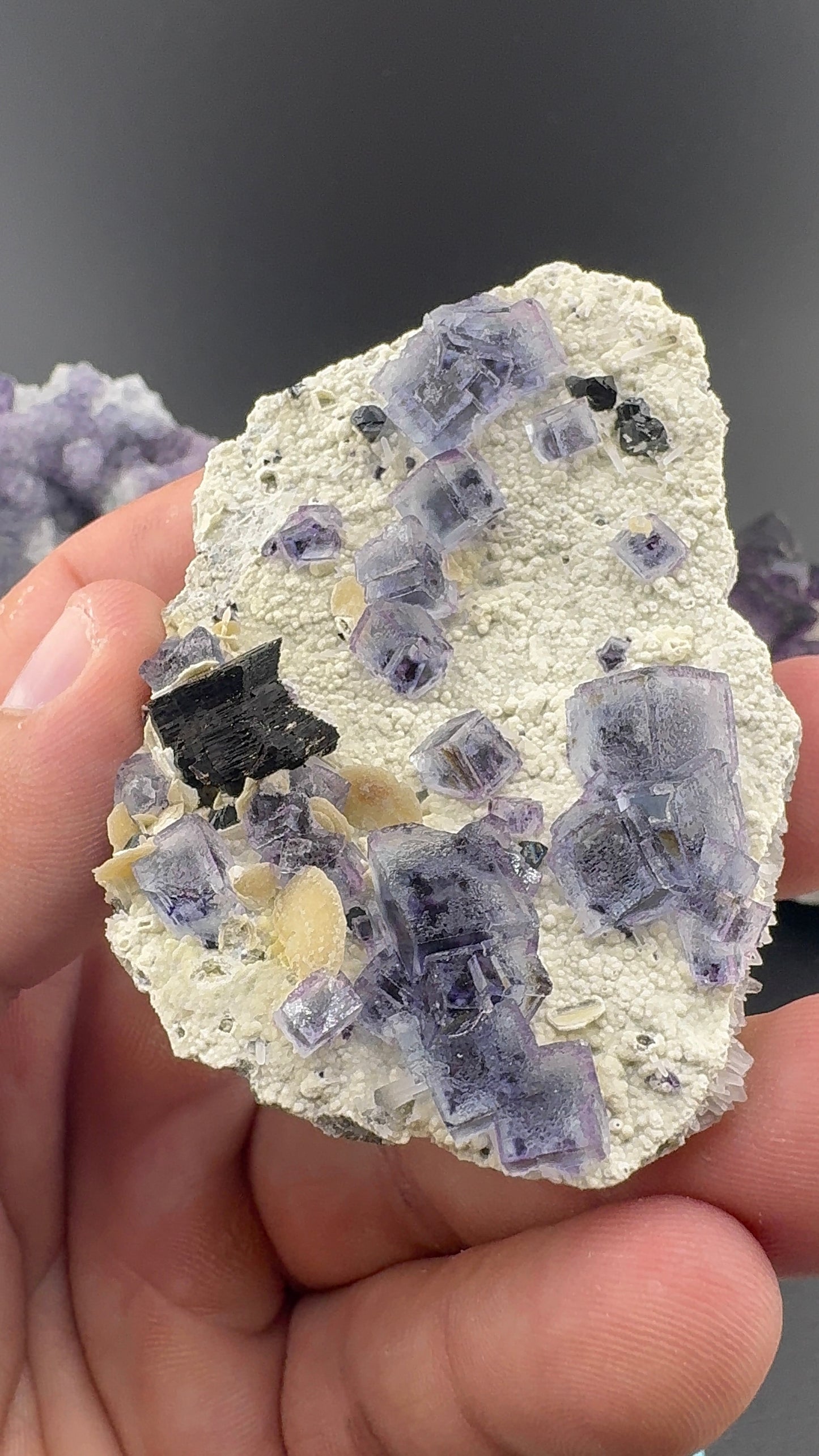 Purple Phantom Fluorite Formation (S13)
