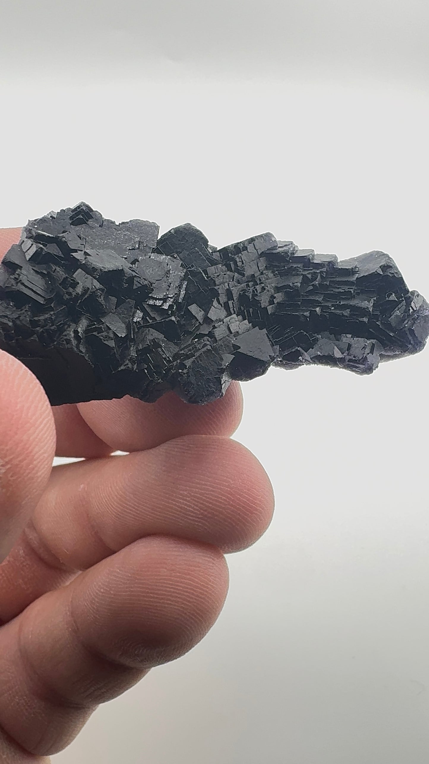 Black Rose Fluorite (BR2)