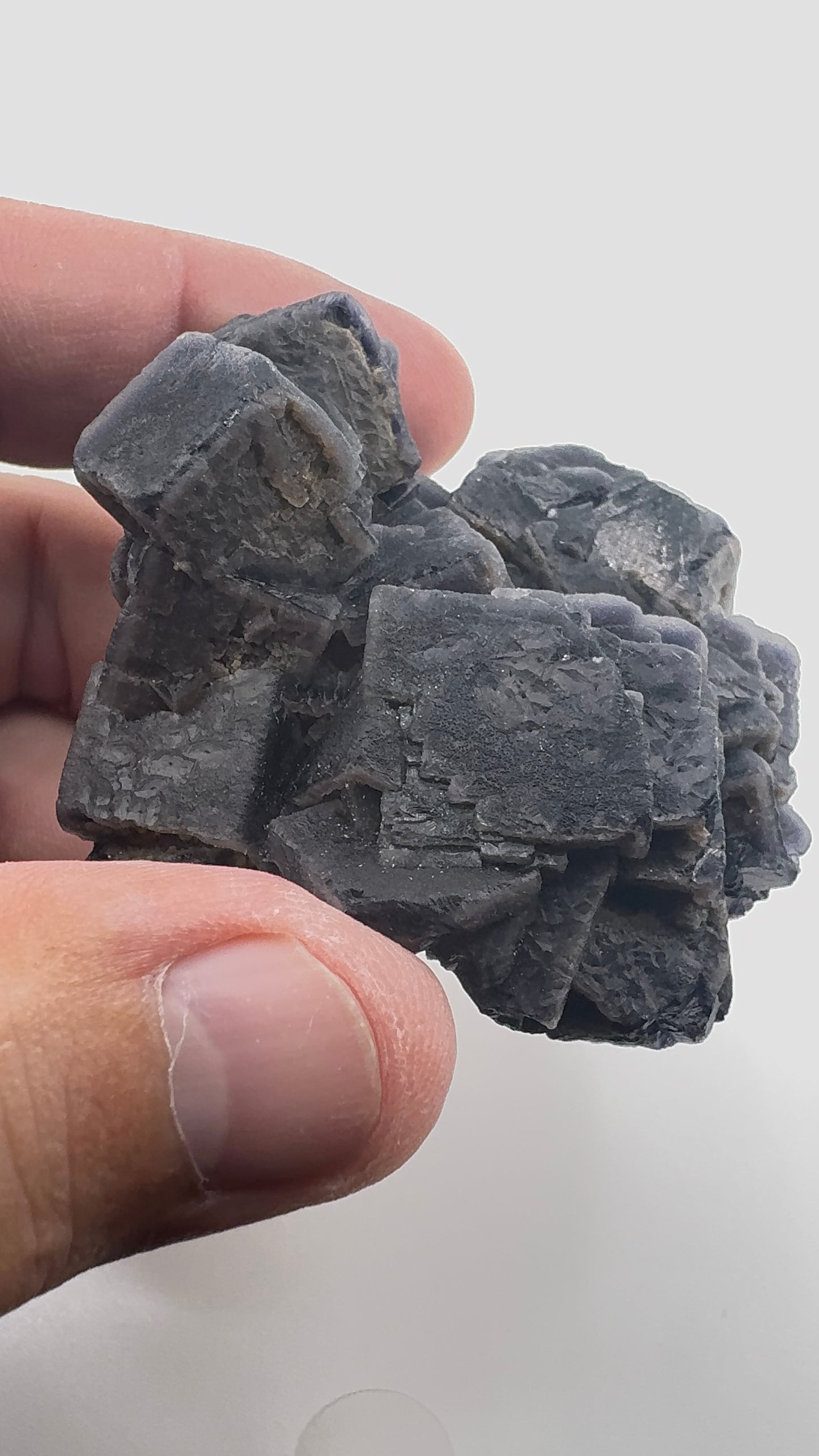 Black Rose Fluorite (BR7)