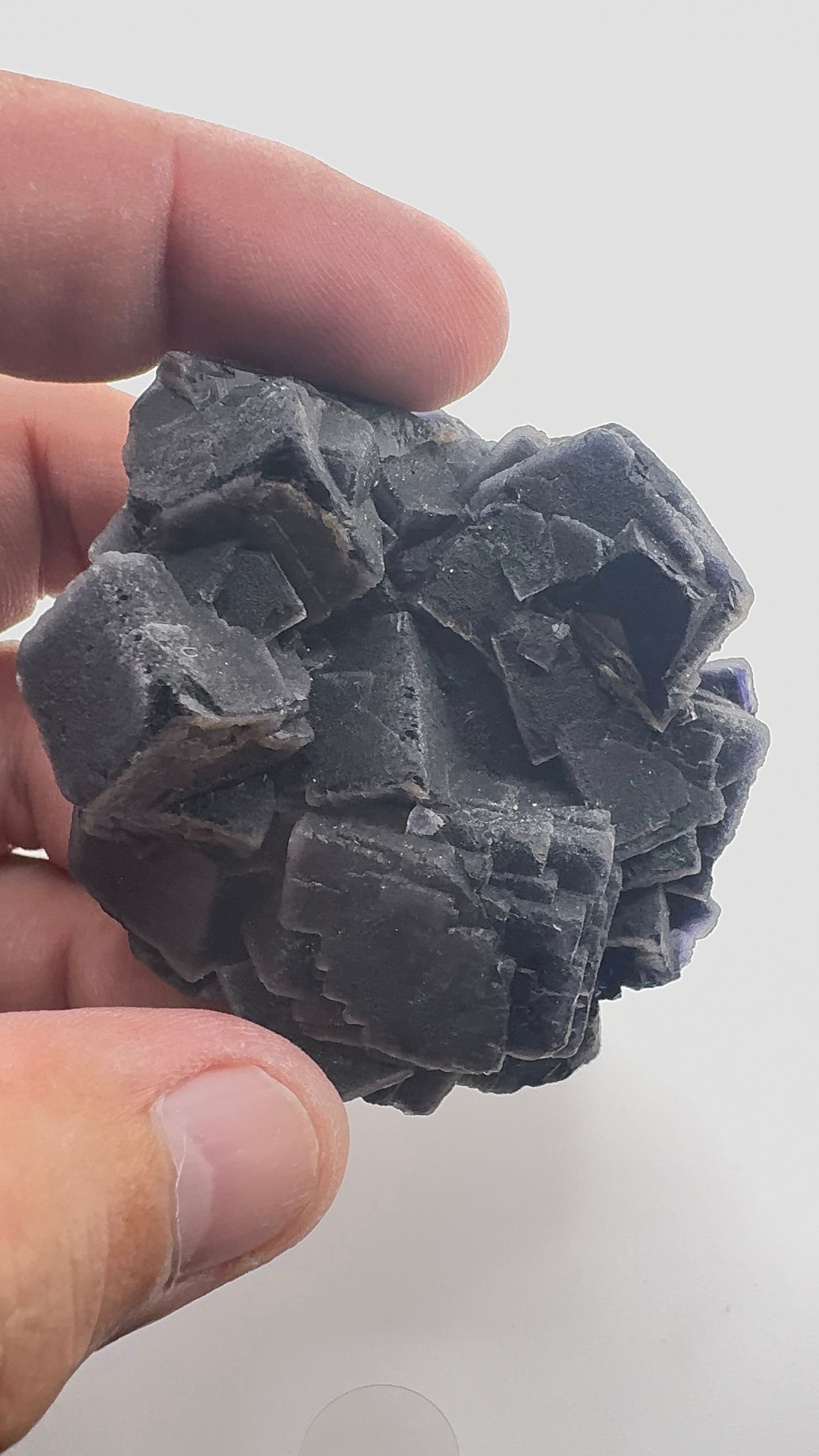 Black Rose Fluorite (BR7)
