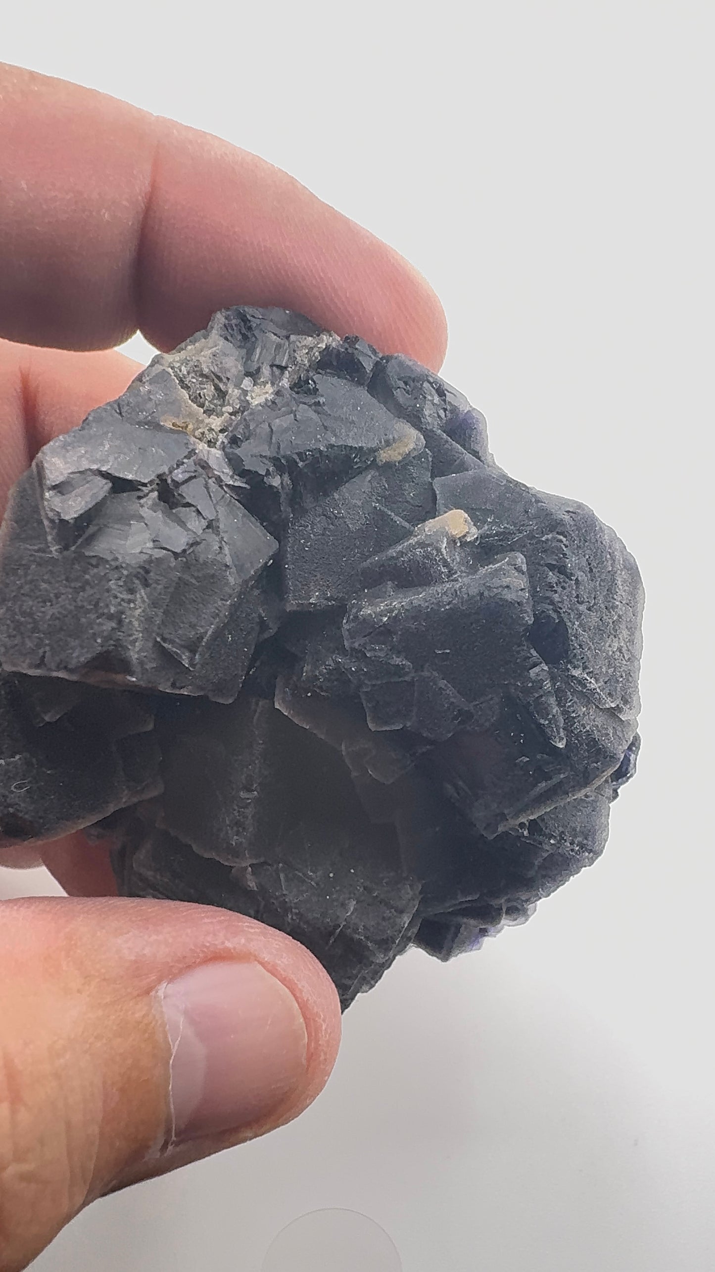 Black Rose Fluorite (BR7)