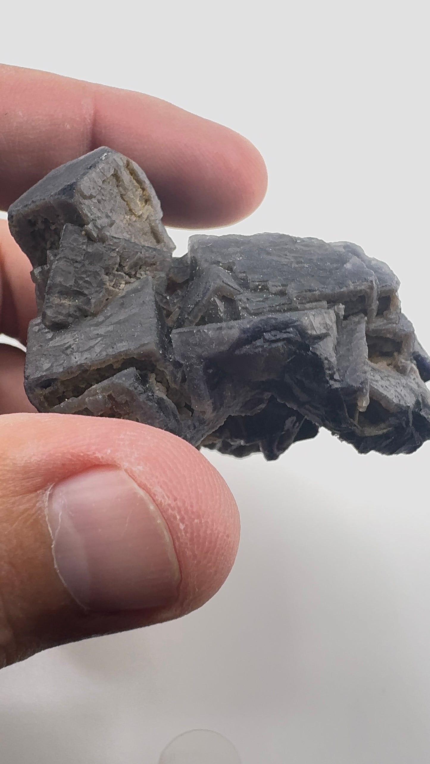 Black Rose Fluorite (BR7)