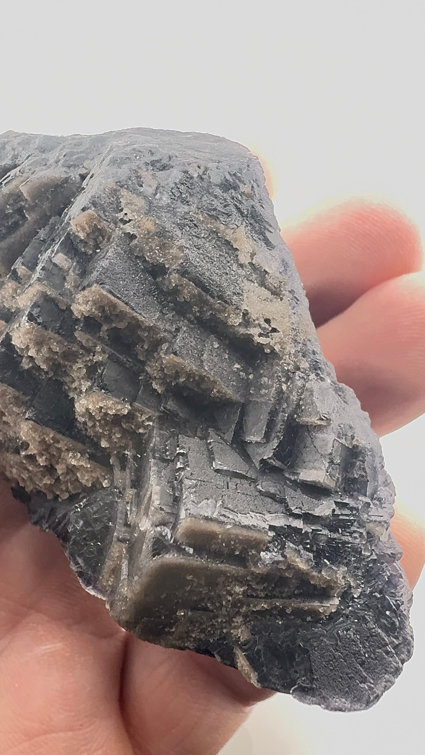 Black Rose Fluorite (BR9)