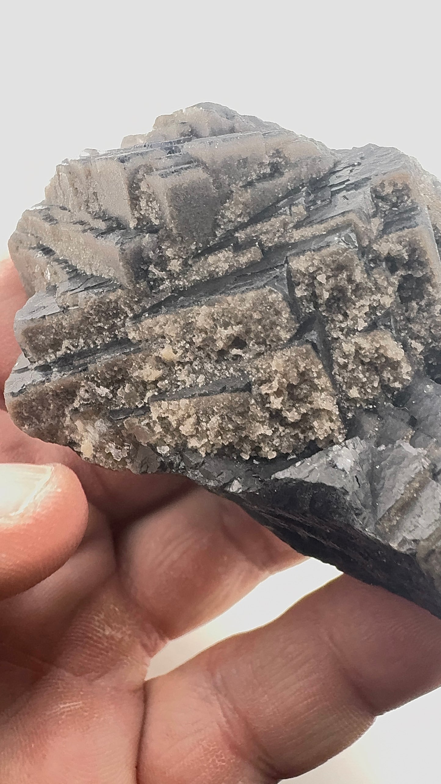 Black Rose Fluorite (BR9)