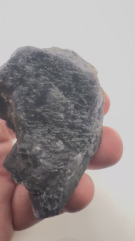 Black Rose Fluorite