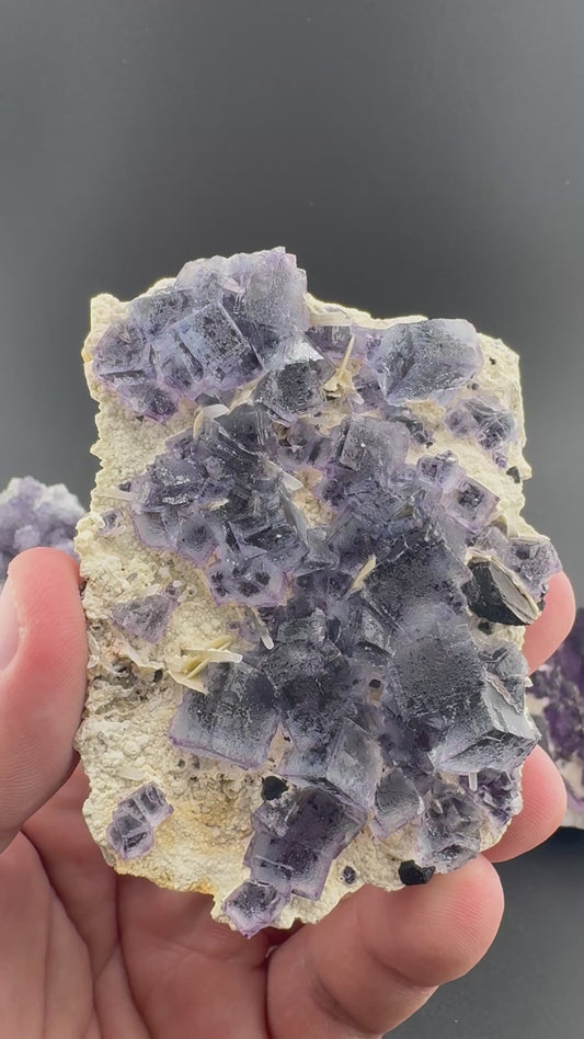 Purple Phantom Fluorite Formation