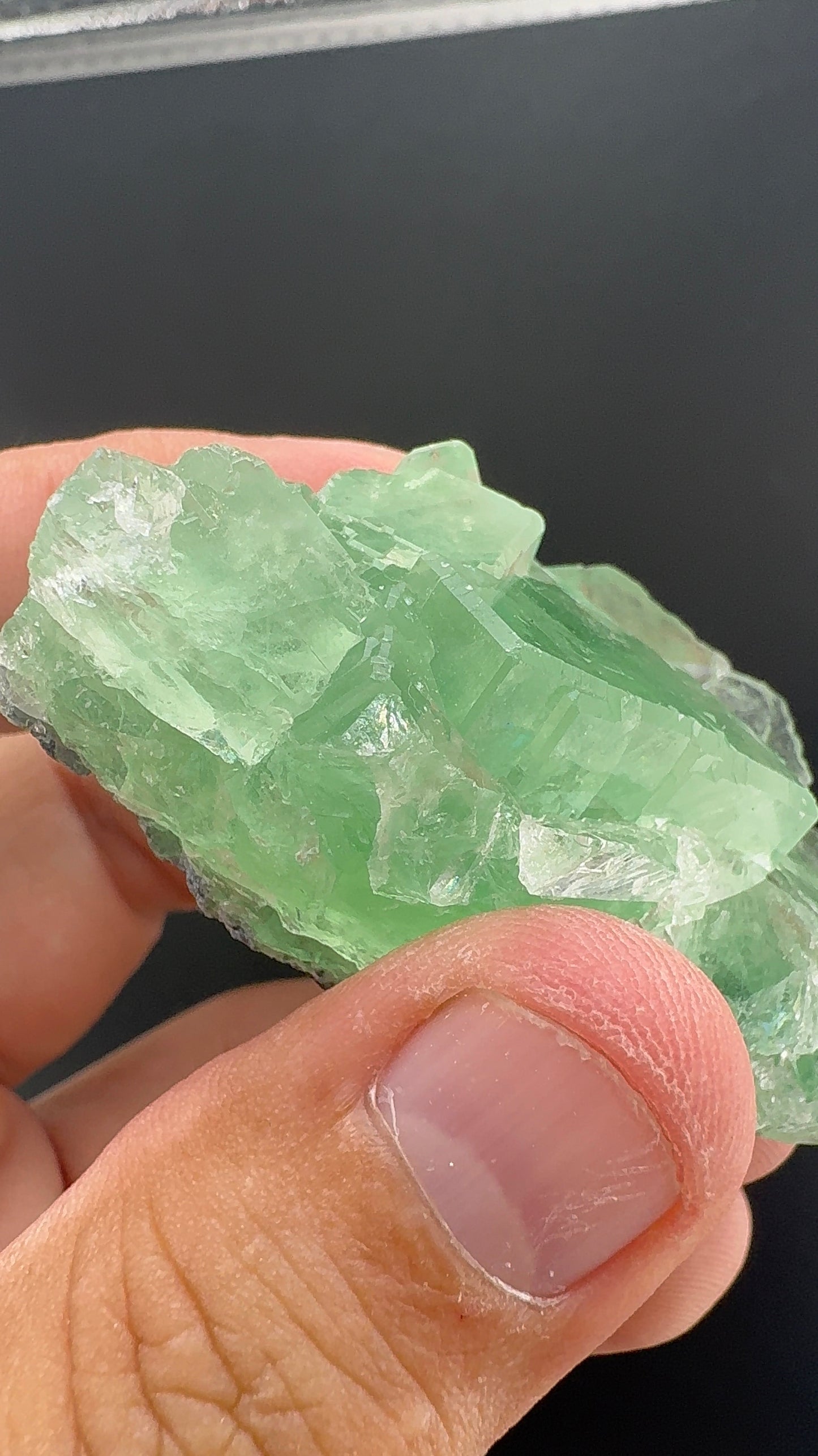 Fluorite Collection 12