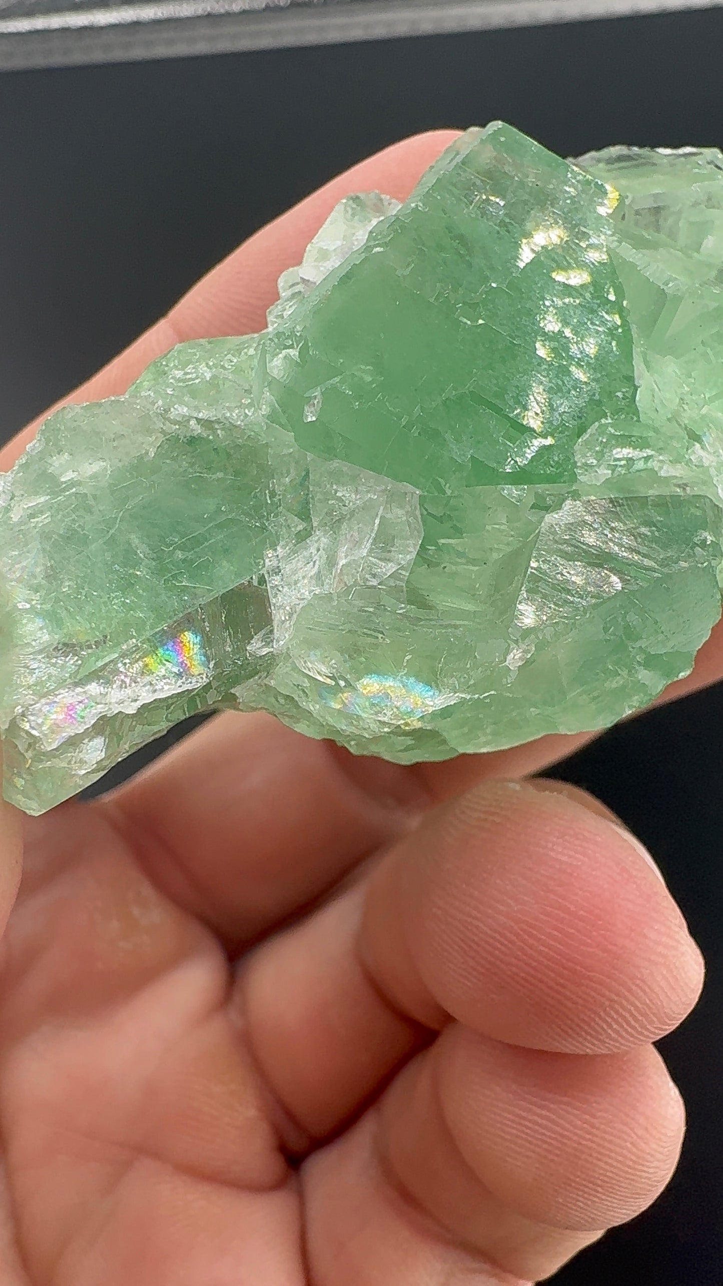 Fluorite Collection 12