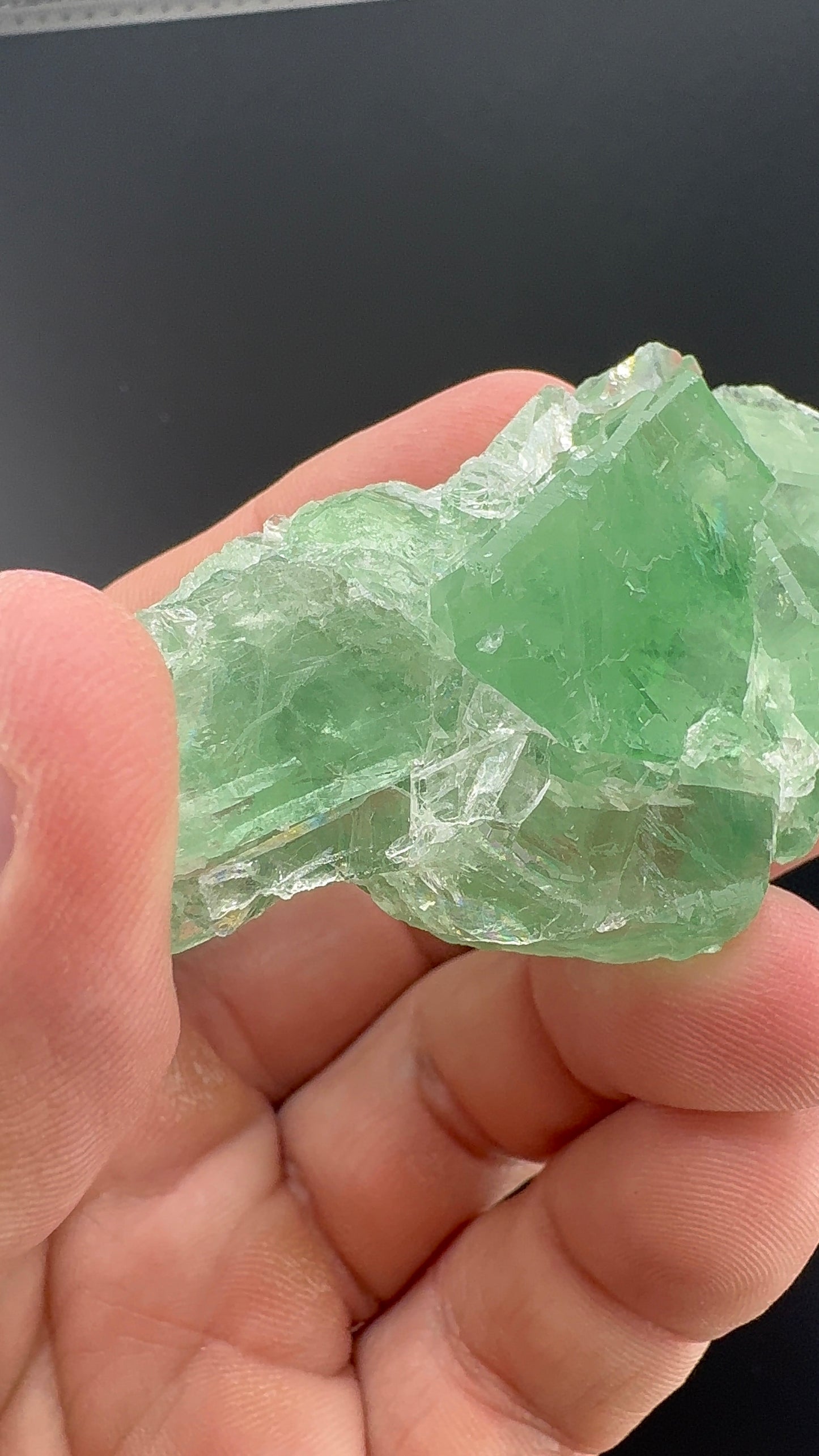 Fluorite Collection 12