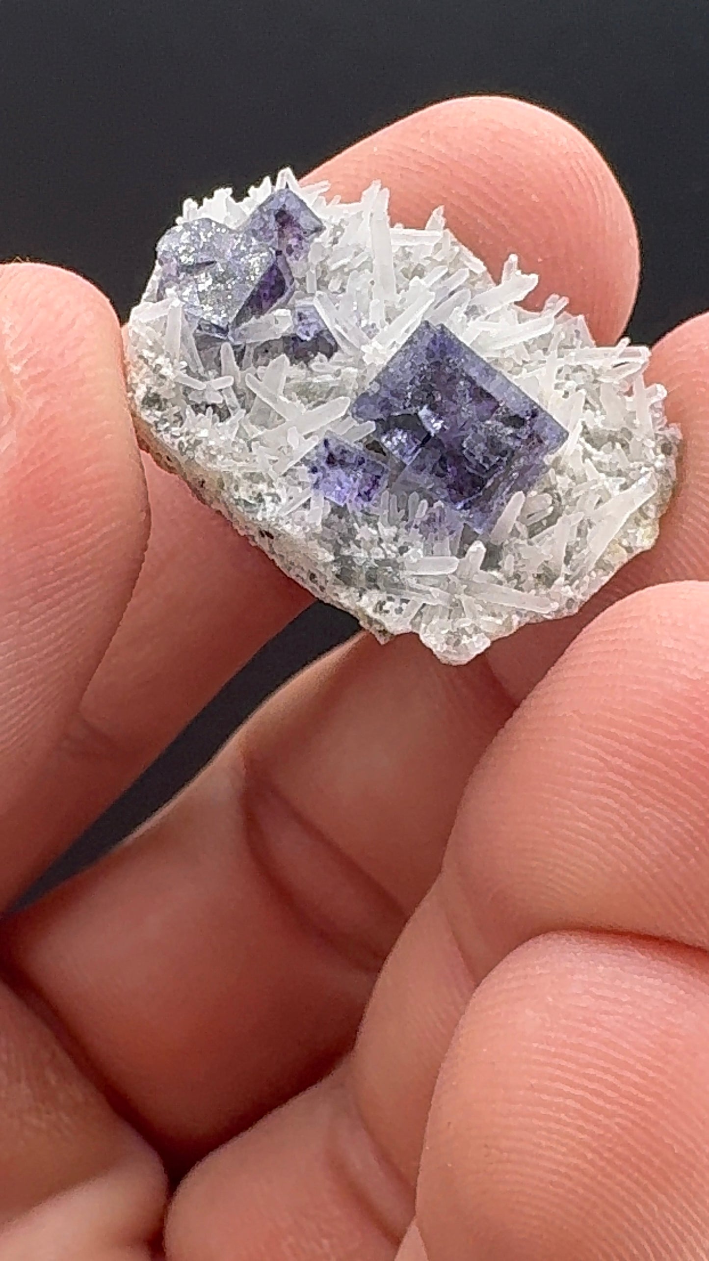 Fluorite Collection 13