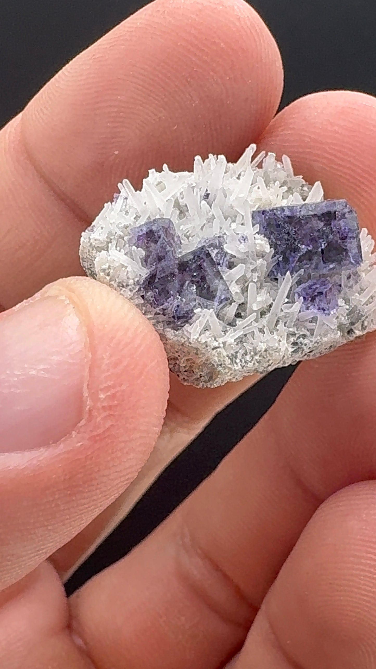 Fluorite Collection 13