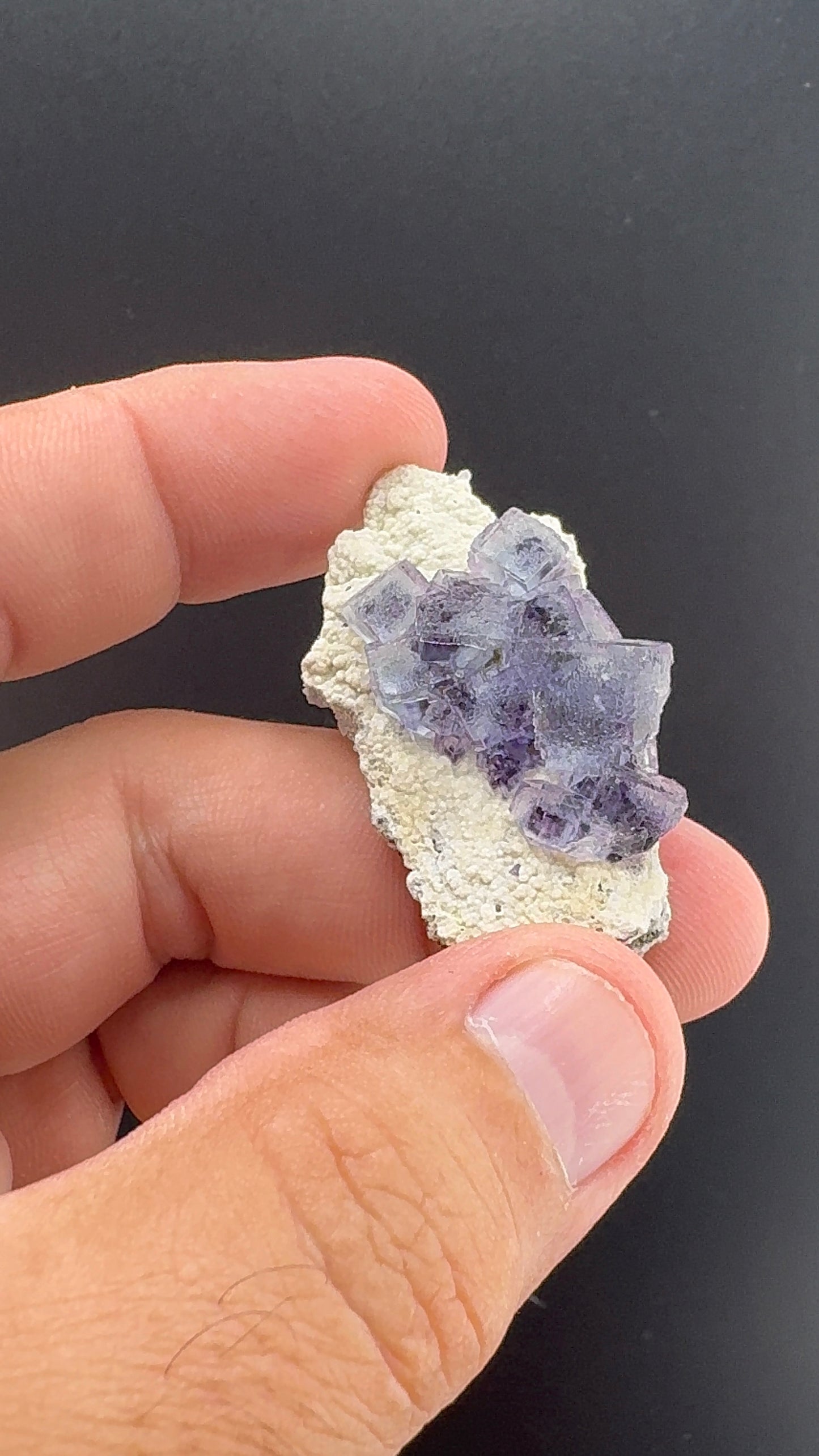 Fluorite Collection 13