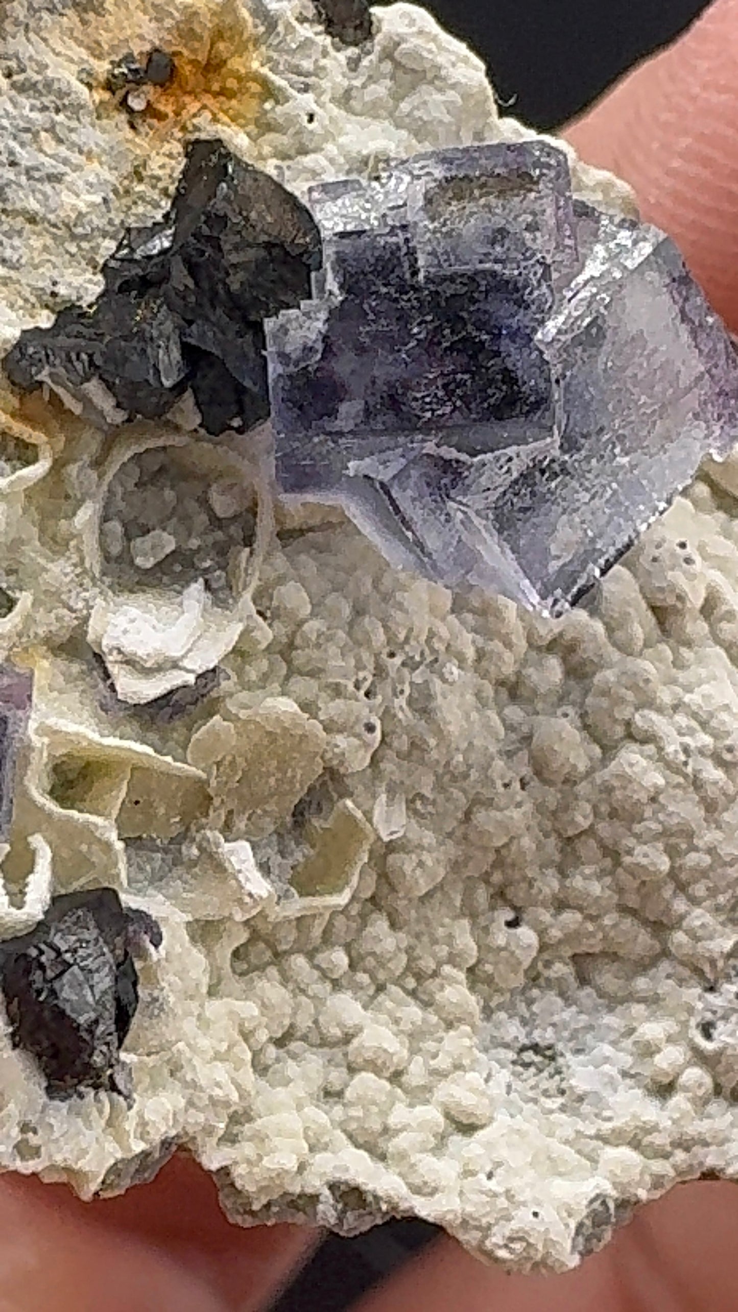 Fluorite Collection 13