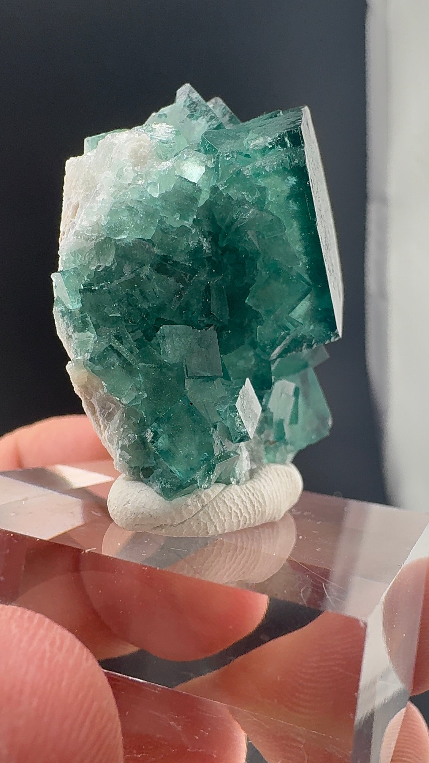 Fluorite Collection 8