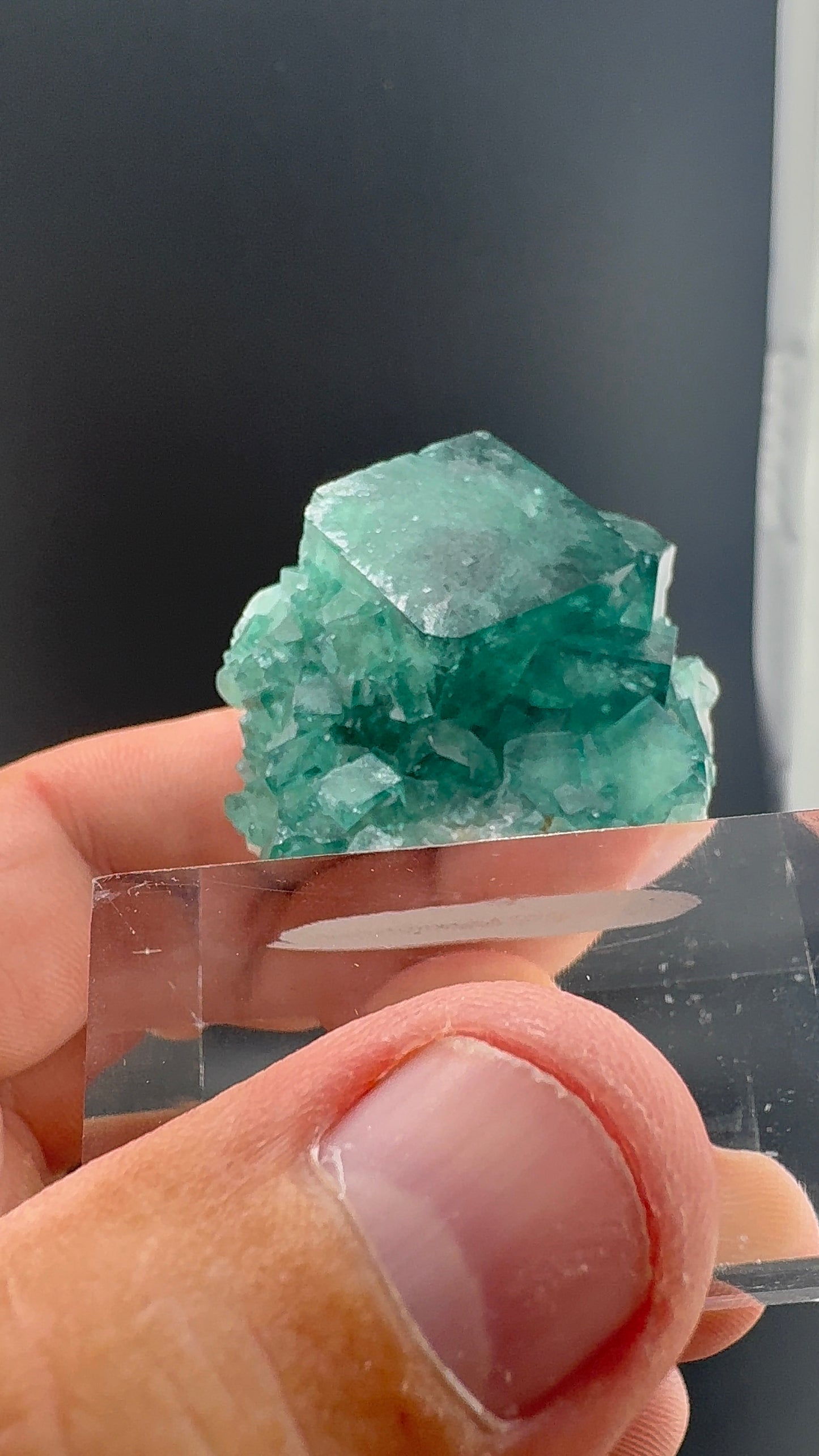 Fluorite Collection 8