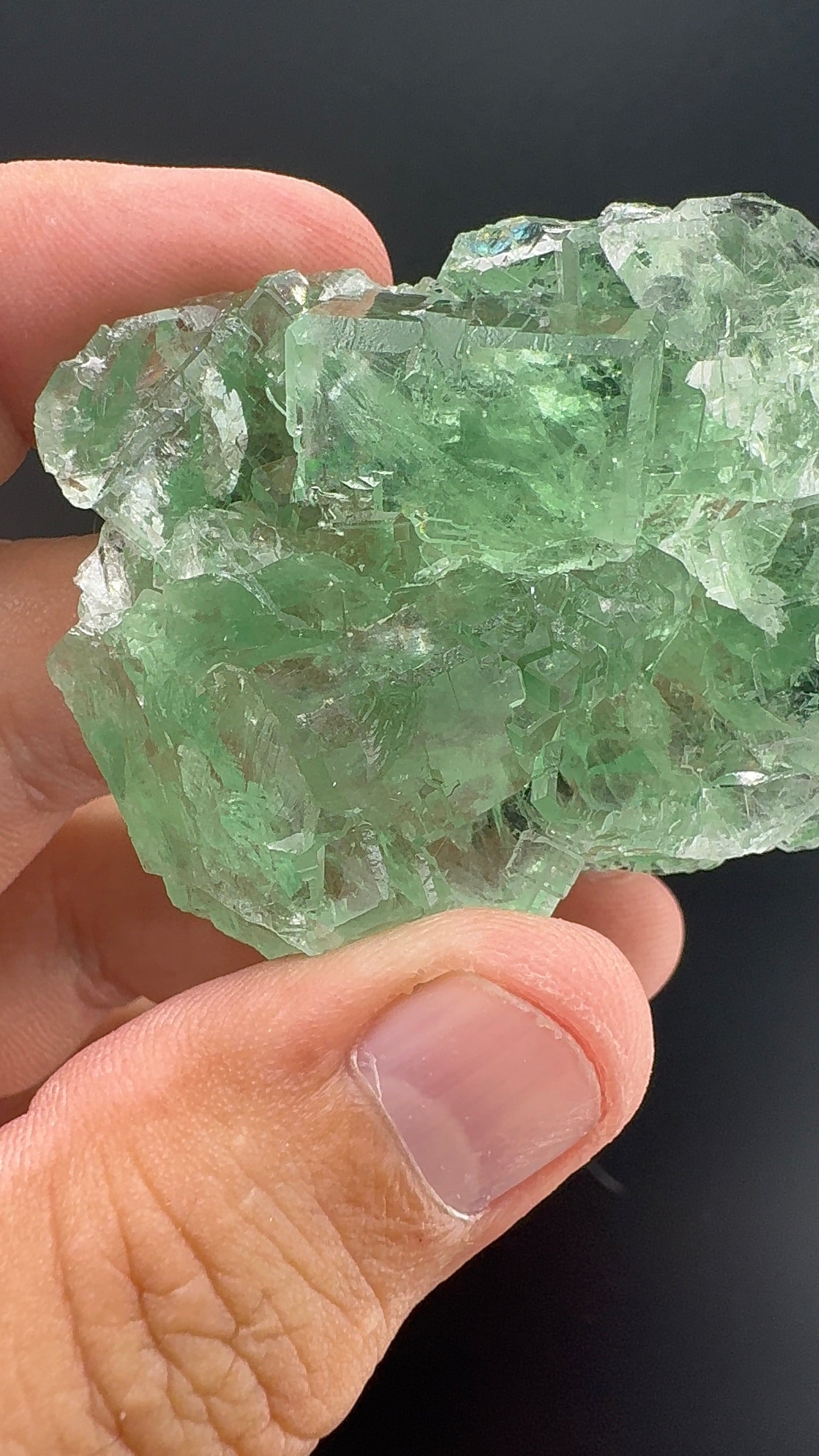Fluorite Collection 7