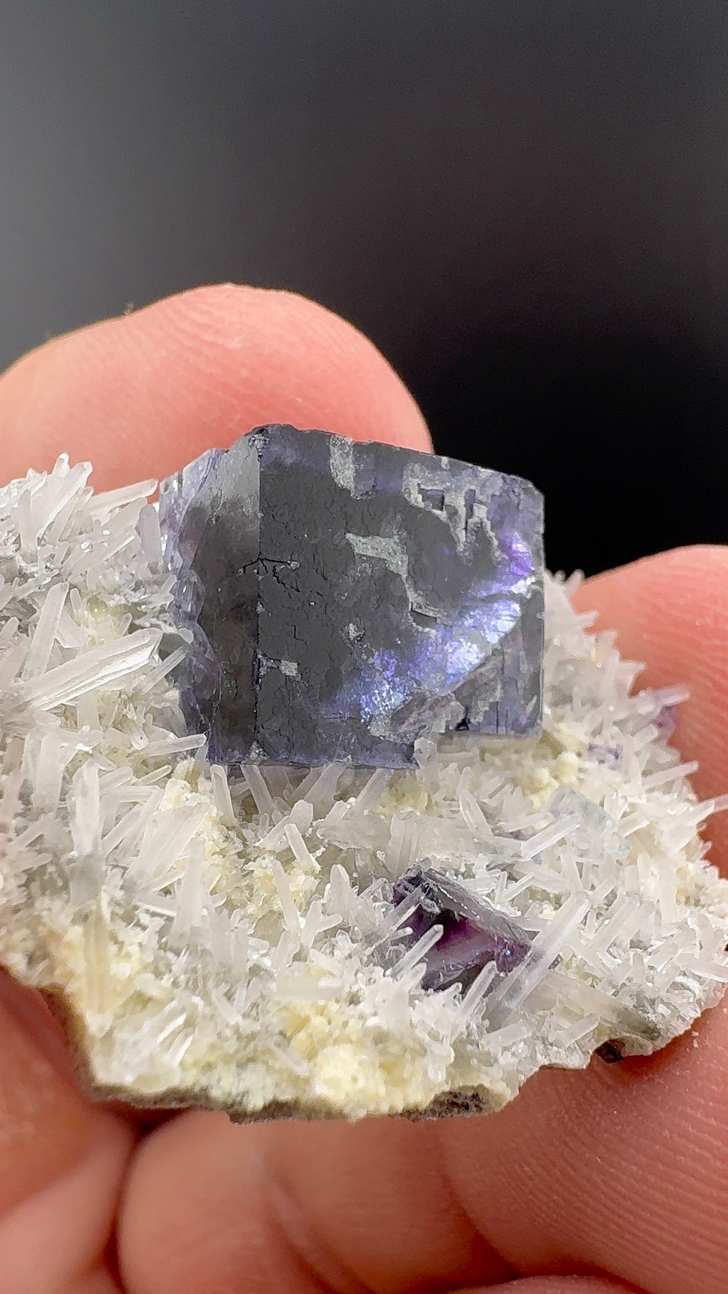 Fluorite Collection 16