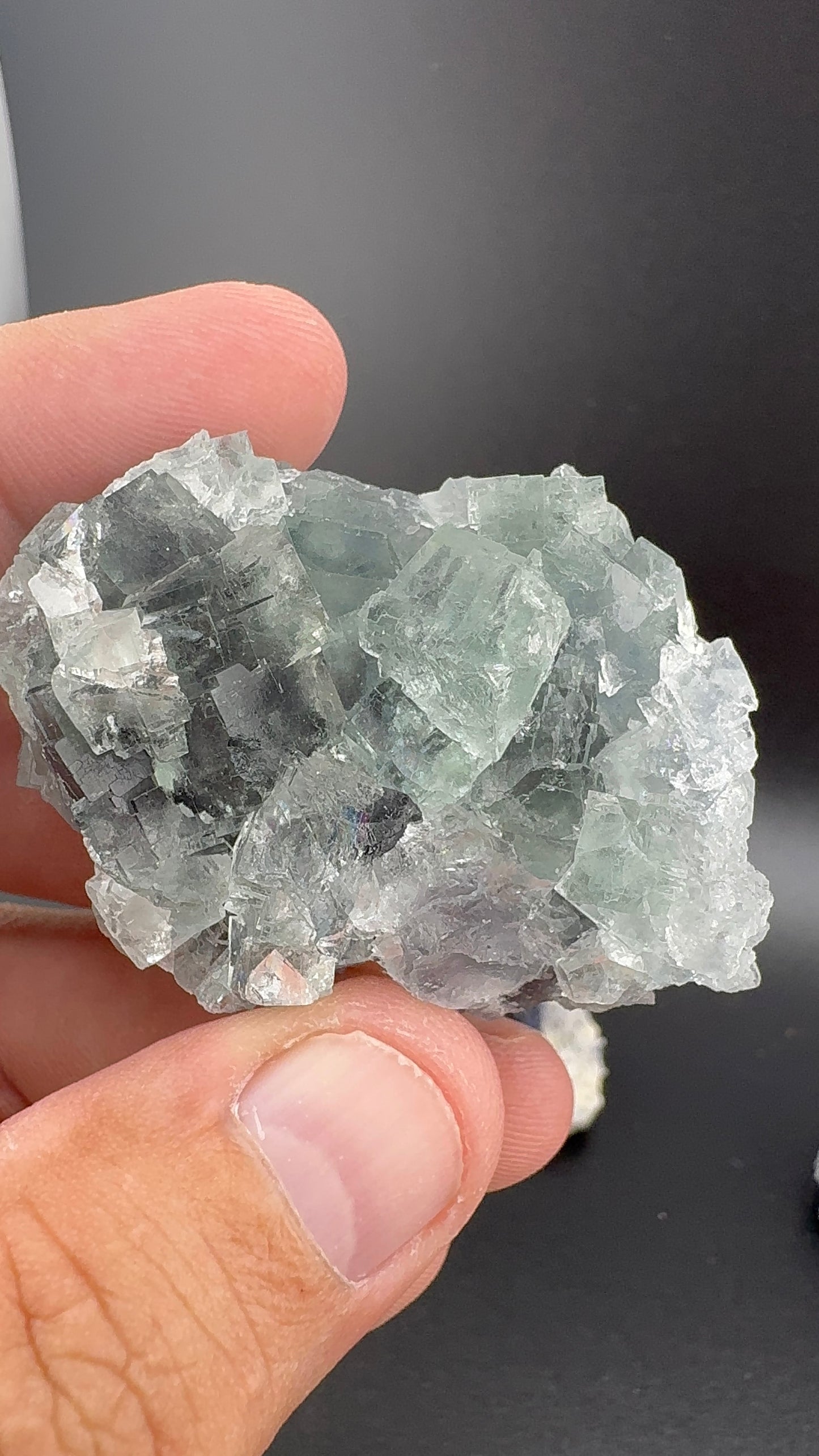 Fluorite Collection 16