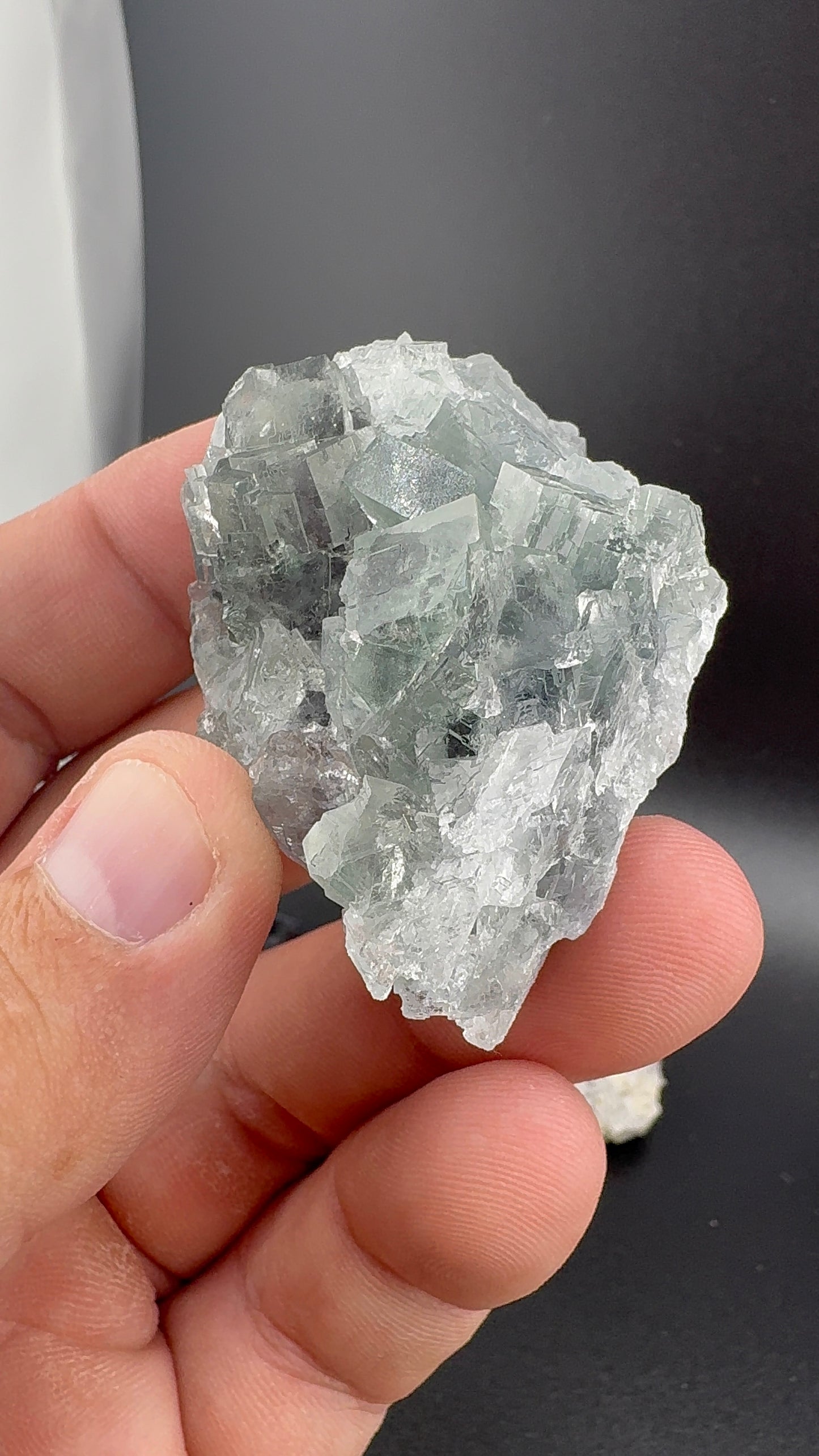 Fluorite Collection 16