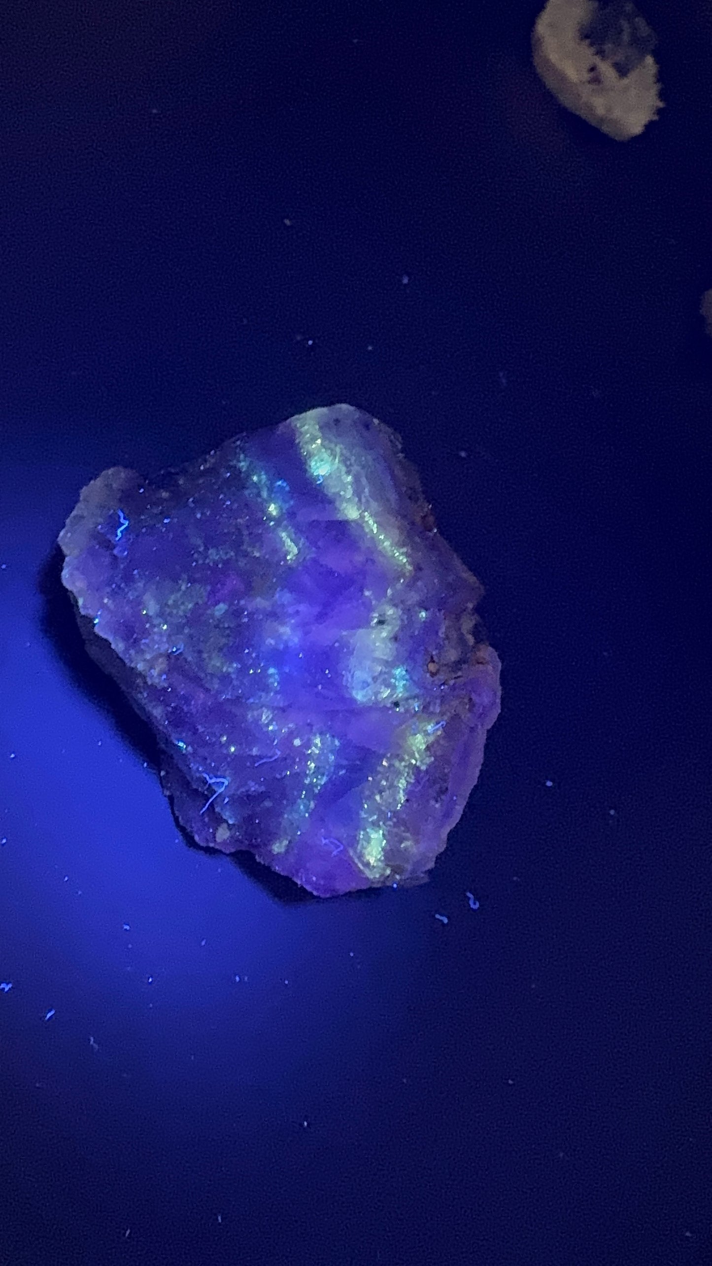 Fluorite Collection 16