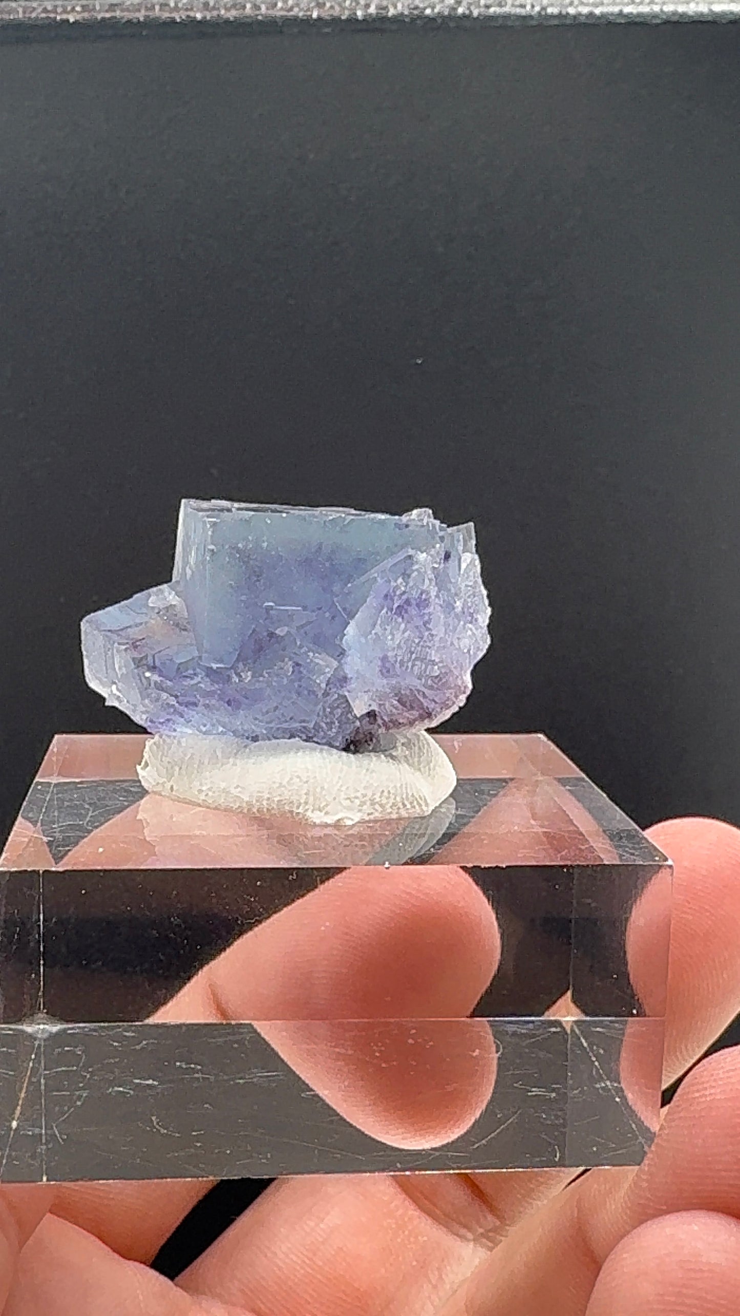 Fluorite Collection 6