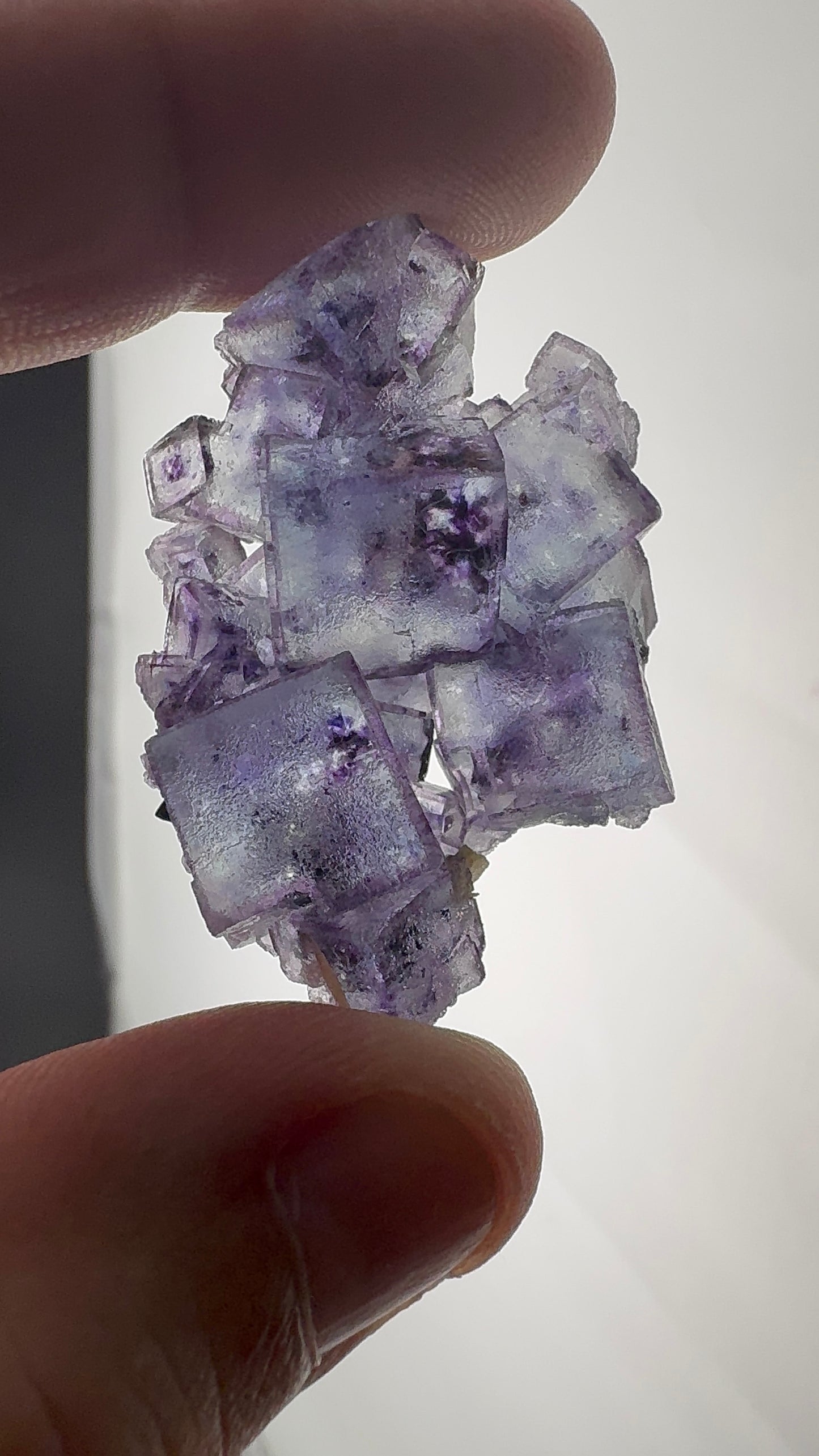 Fluorite Collection 17
