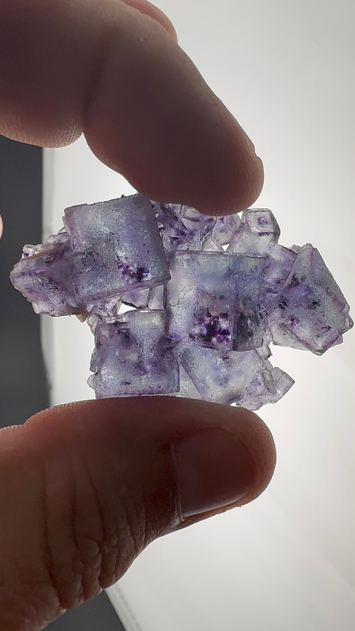 Fluorite Collection 17