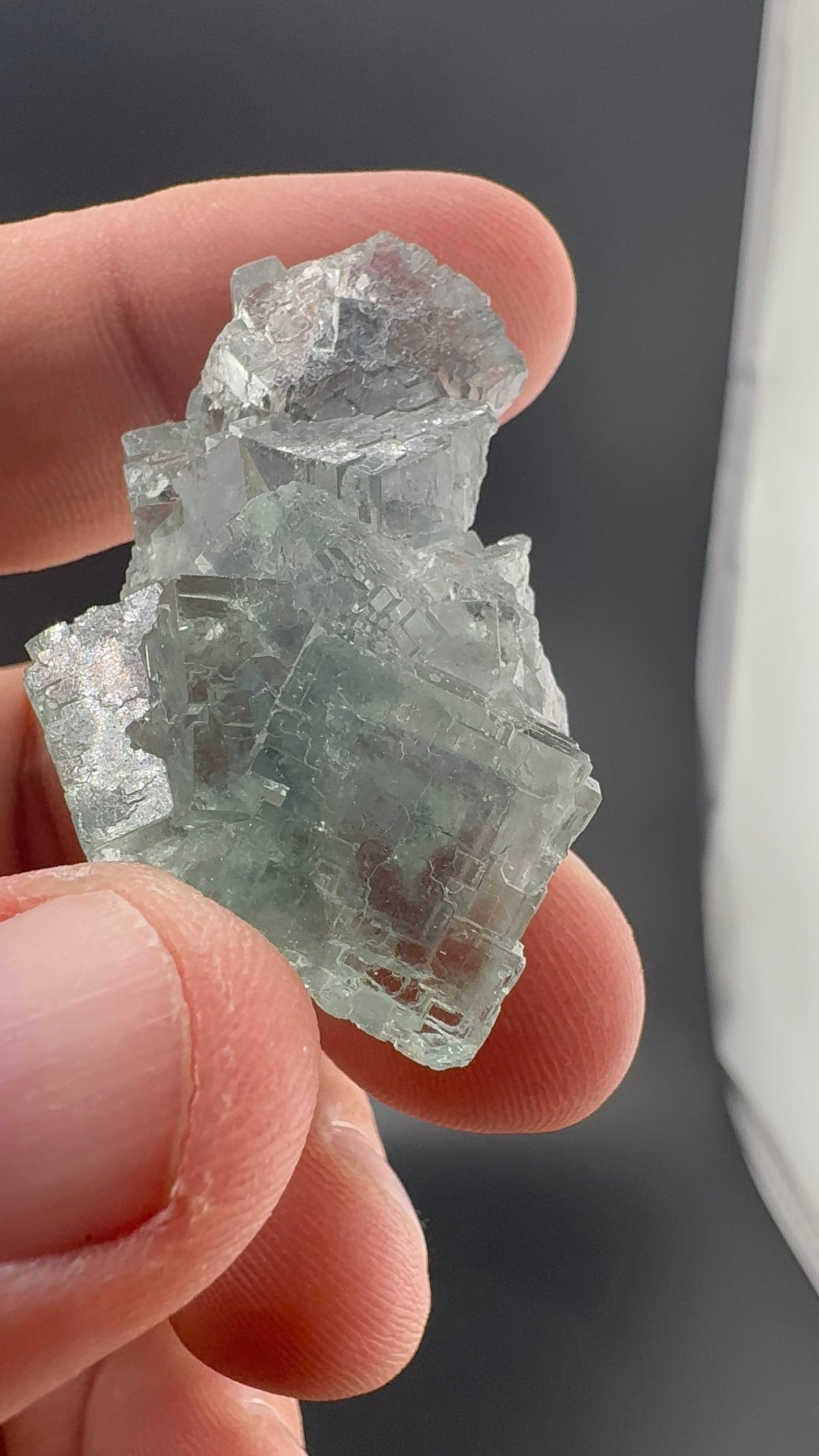 Fluorite Collection 17