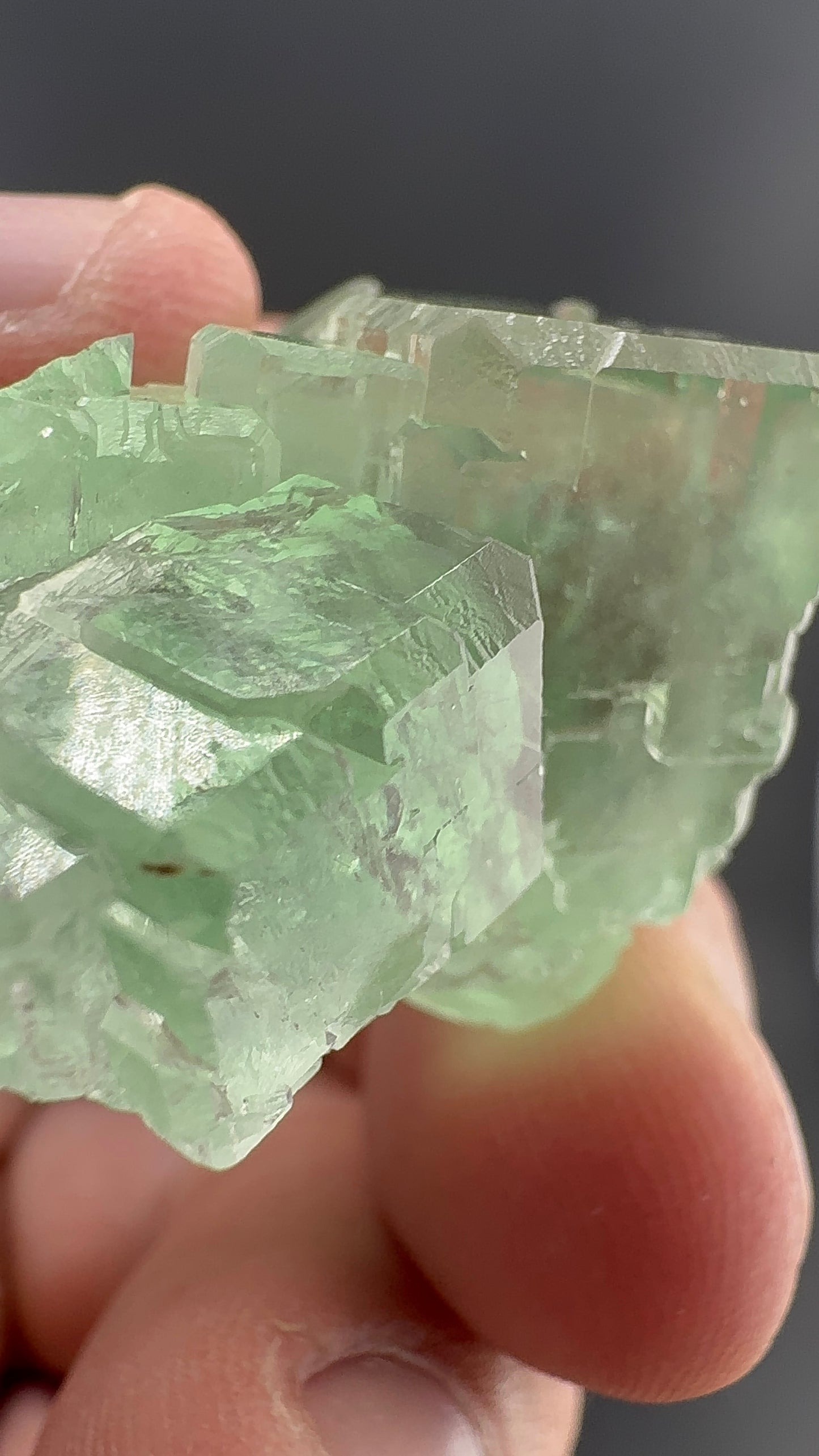 Fluorite Collection 17