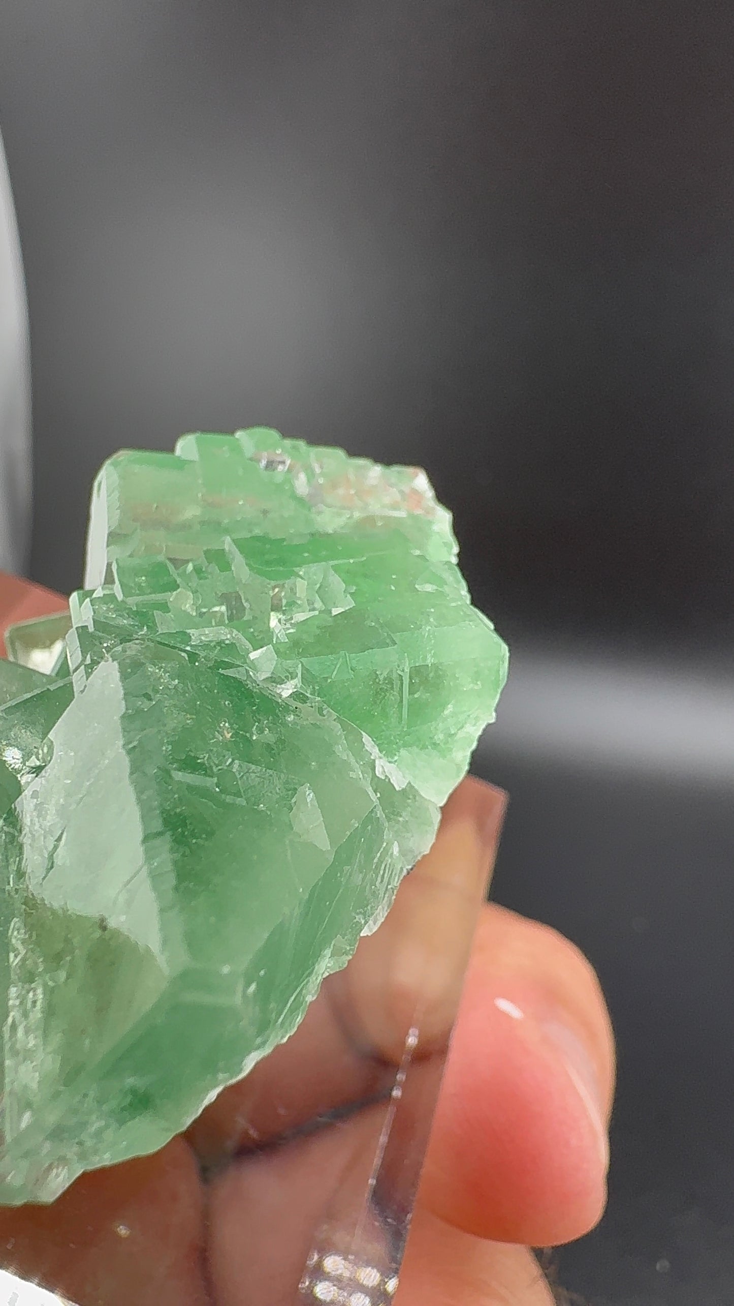 Green Apple Fluorite (B7)