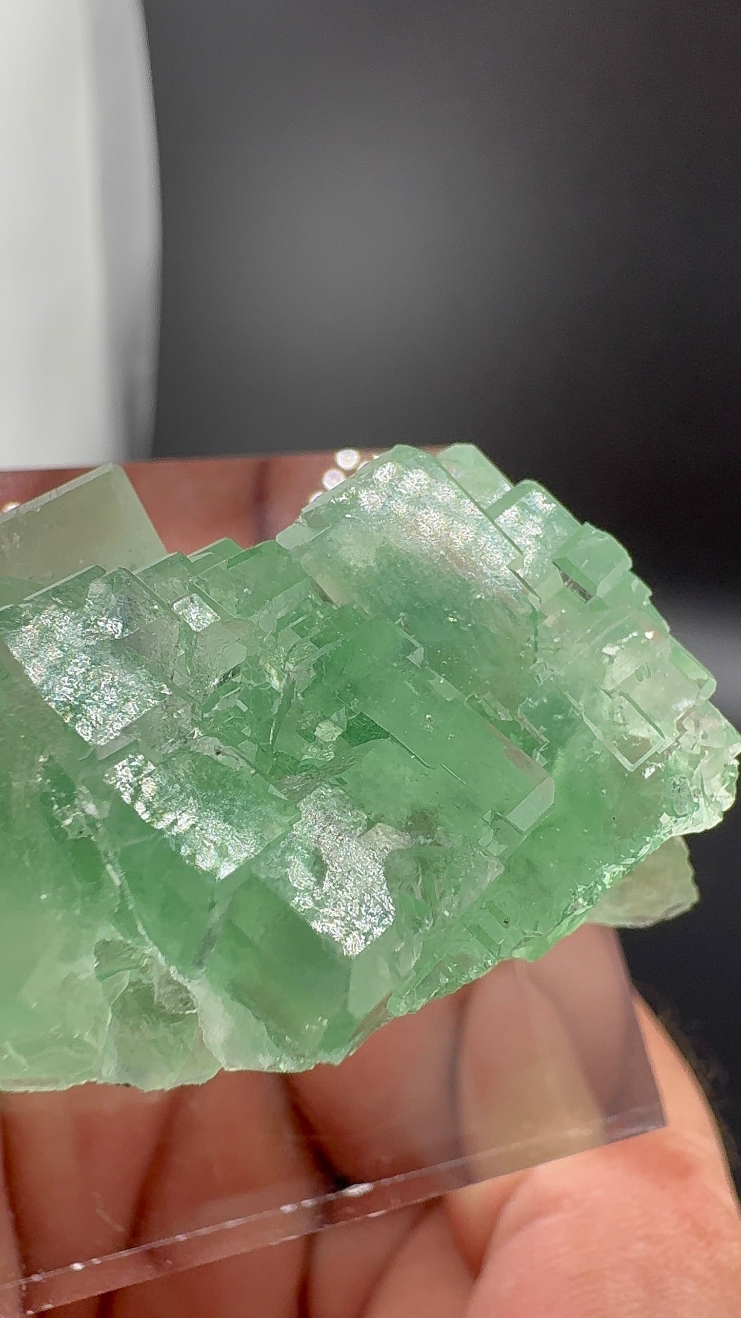 Green Apple Fluorite (B7)
