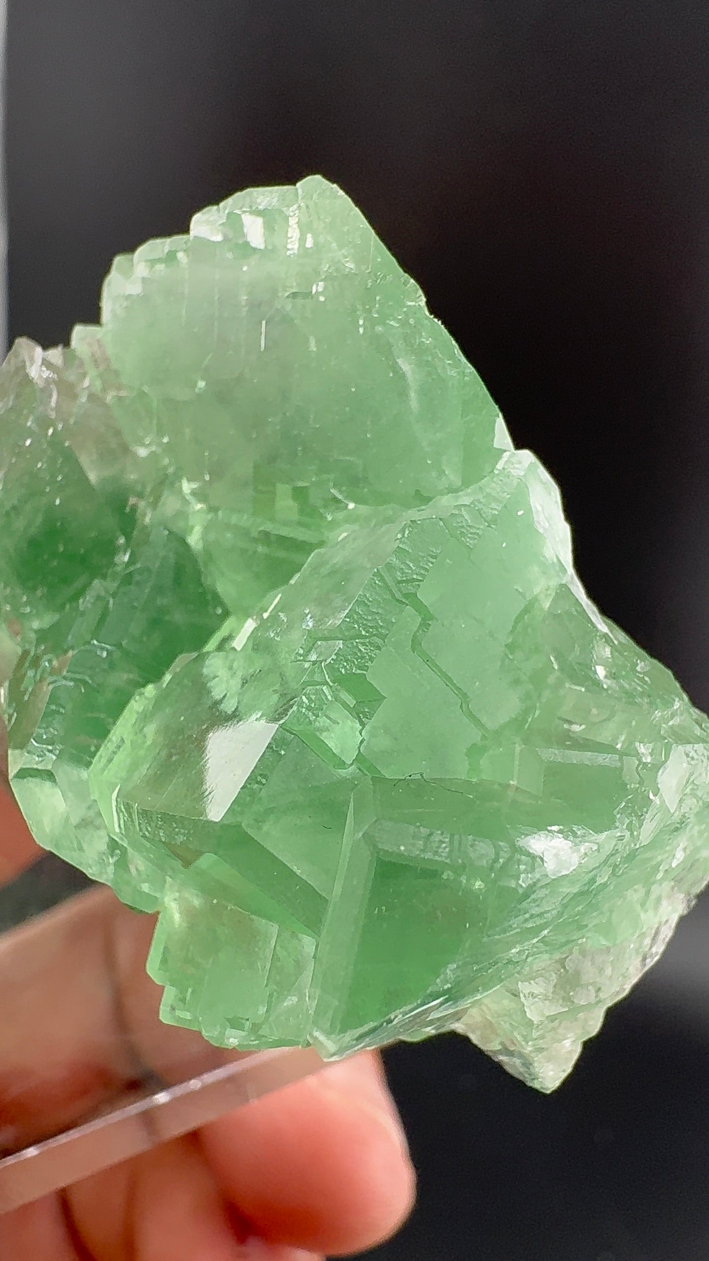 Green Apple Fluorite (B9)
