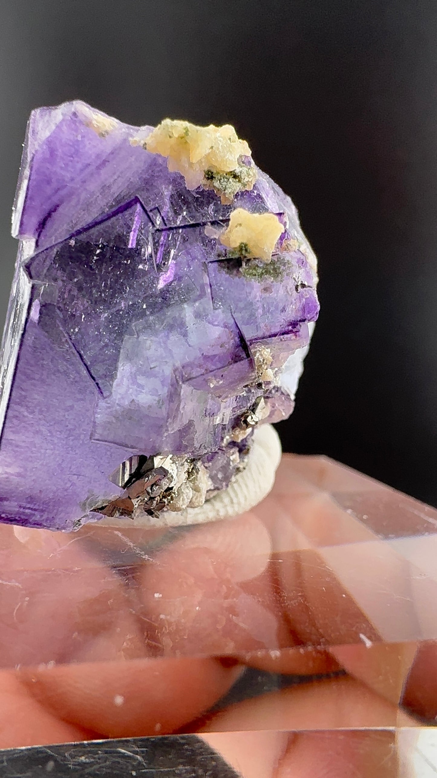 Purple Phantom Cube (B11)