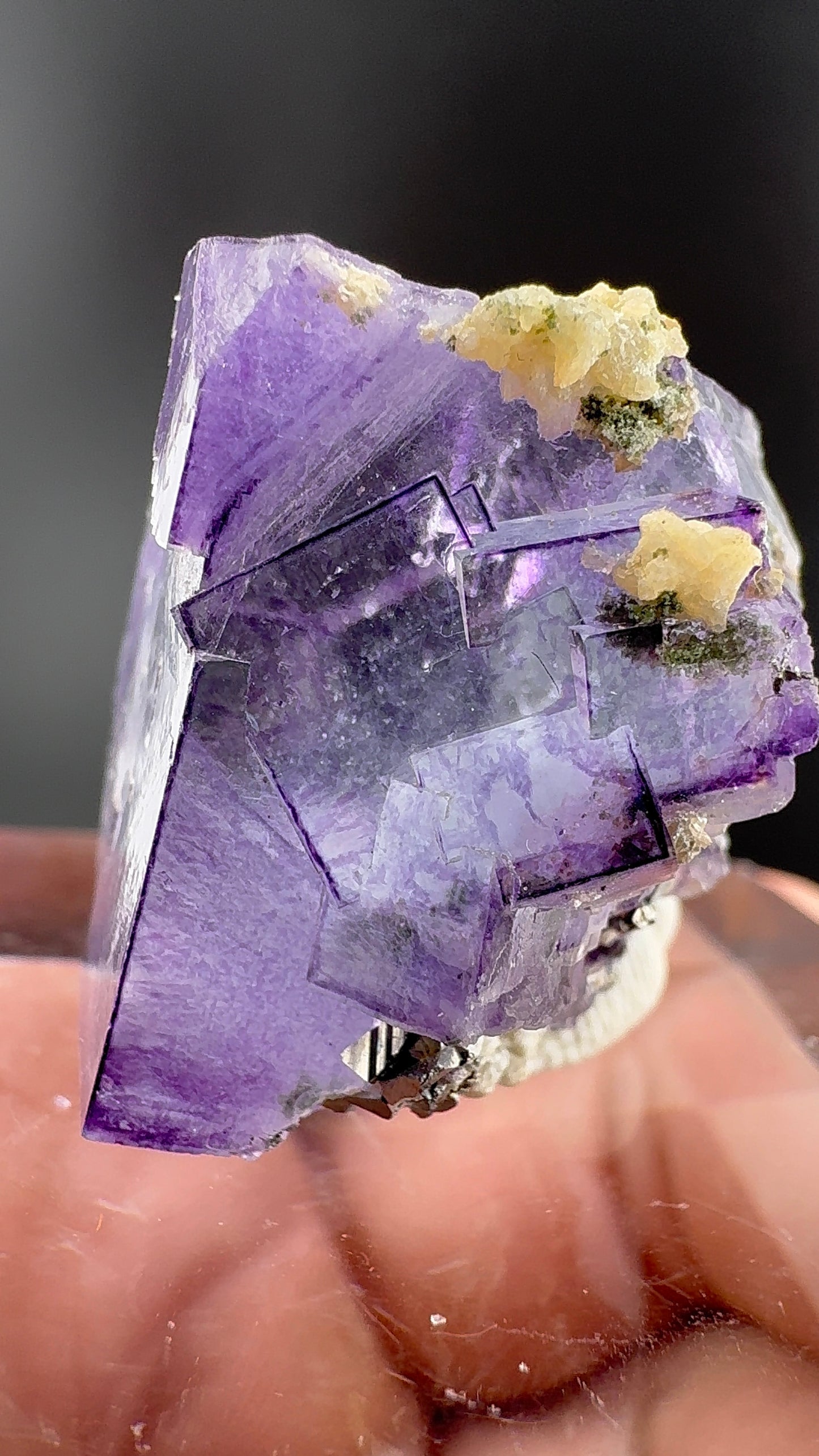 Purple Phantom Cube (B11)