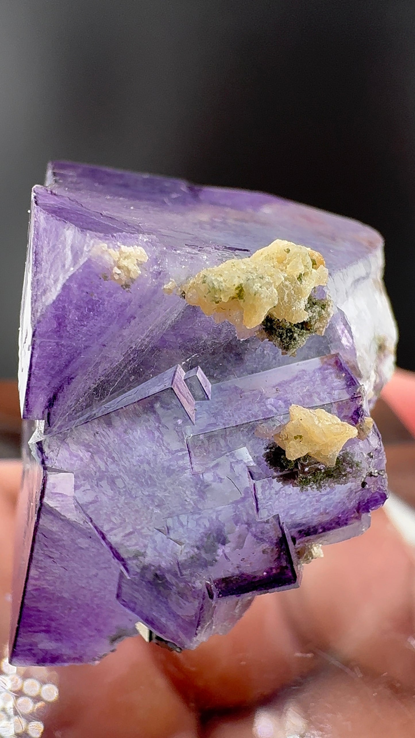 Purple Phantom Cube (B11)