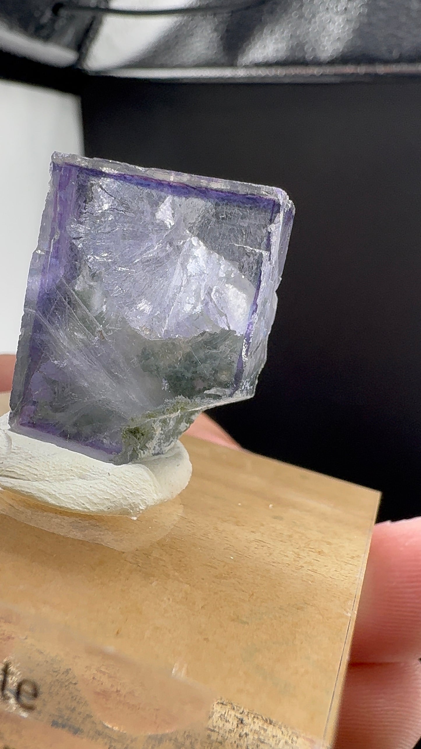 Transparent Purple Phantom (B12)