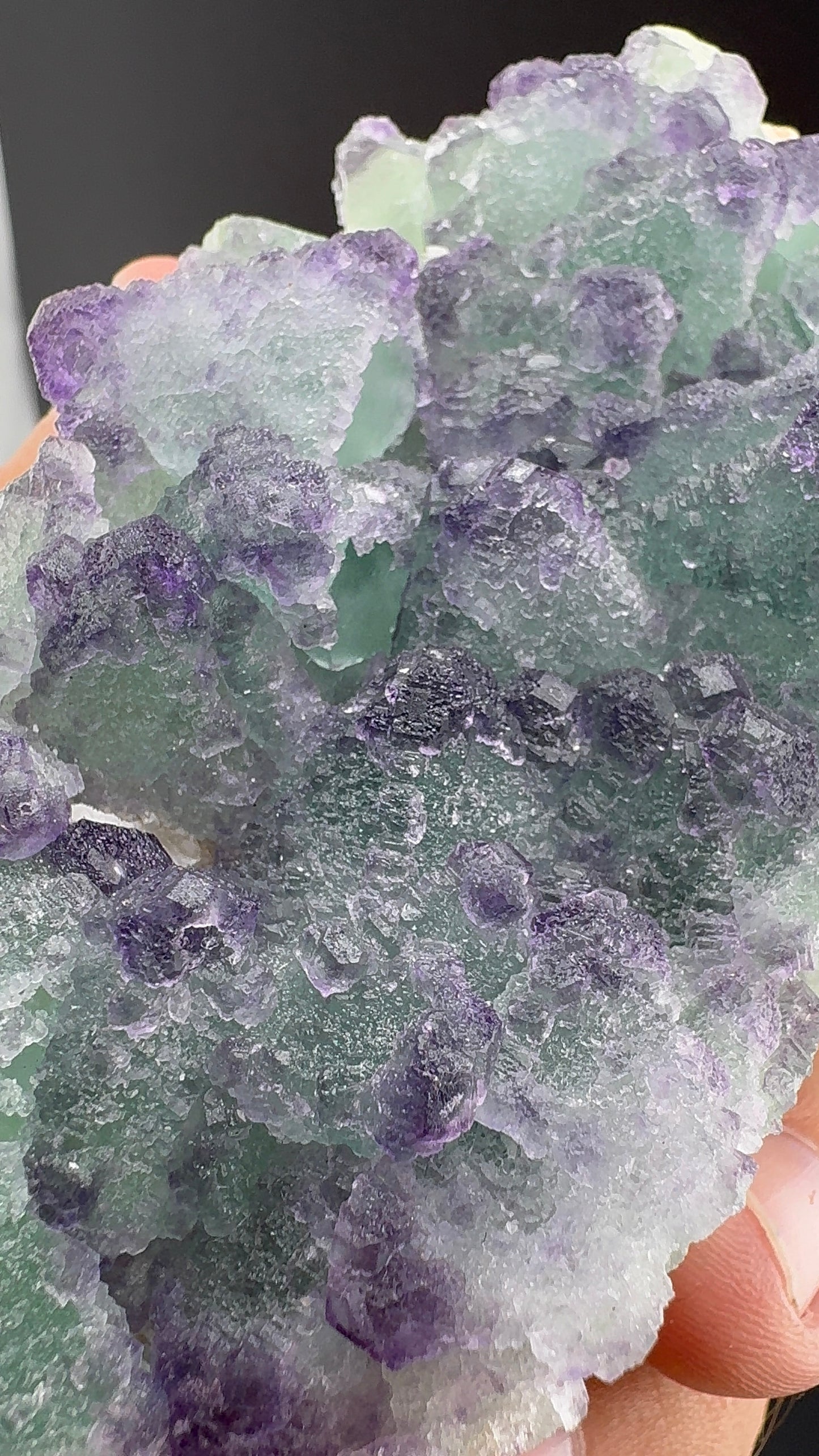 Purple/Green Octahedral Fluorite (S8)