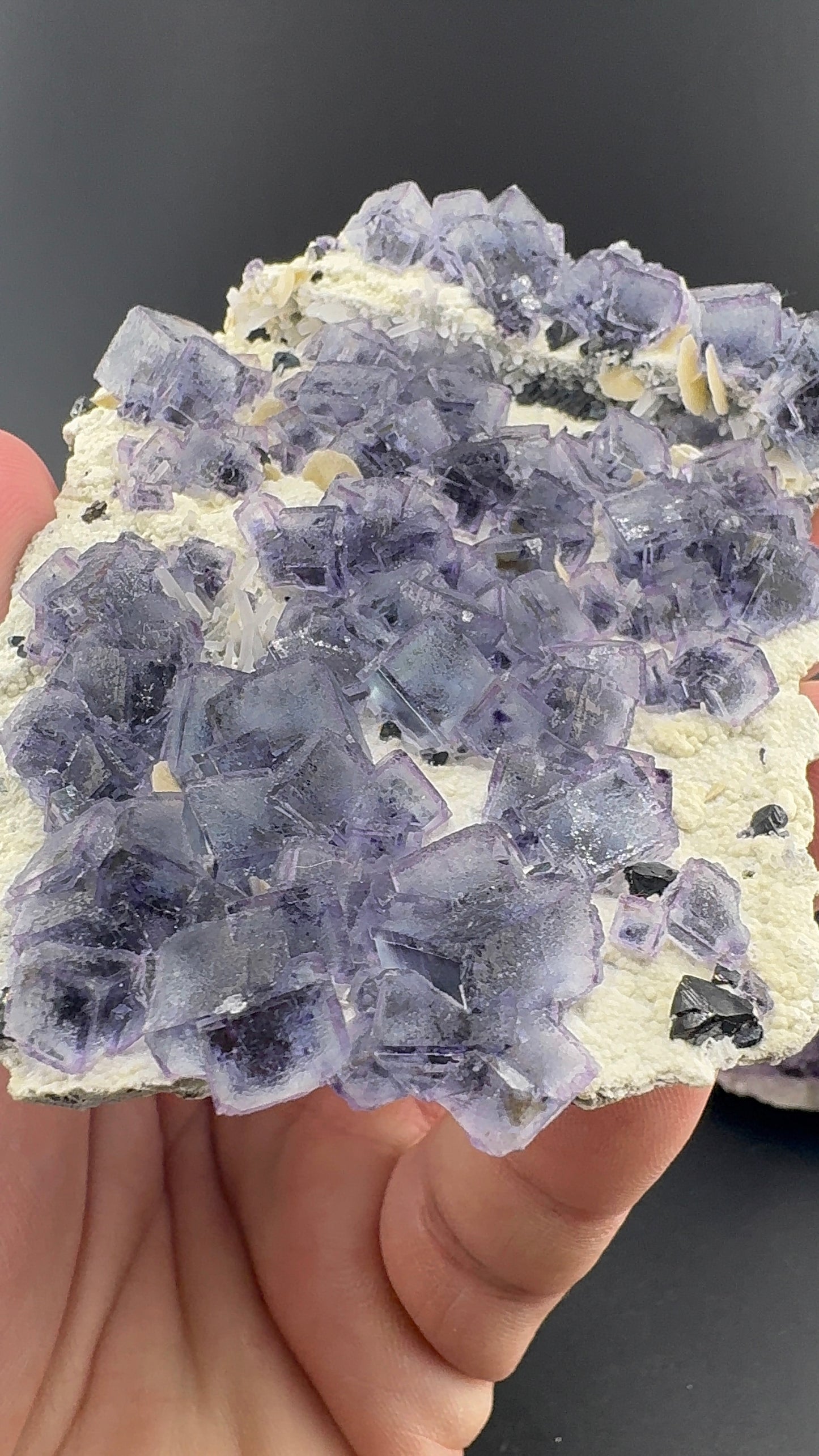 Purple Phantom Fluorite Formation (S15)