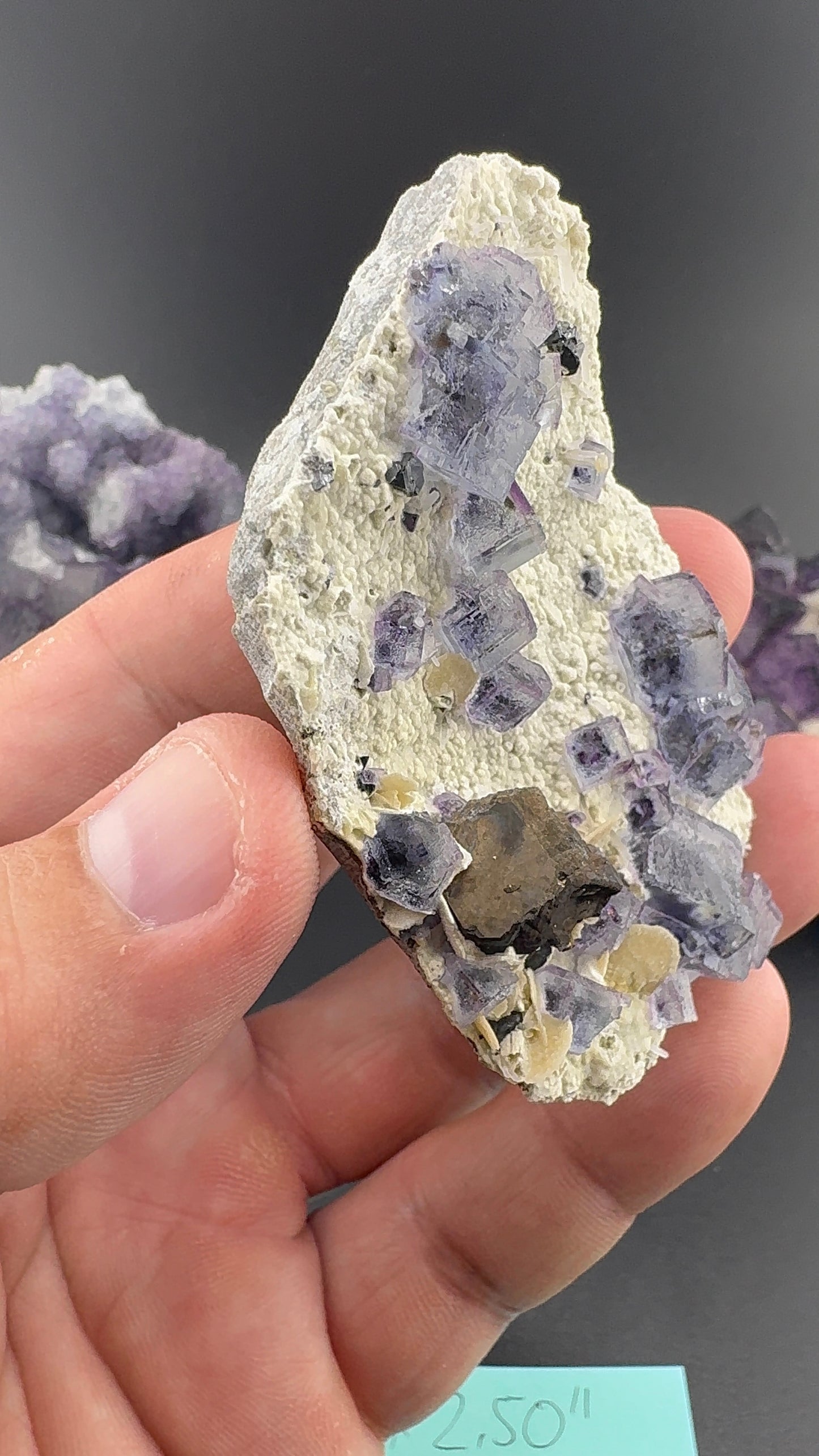 Purple Phantom Fluorite Formation (S13)