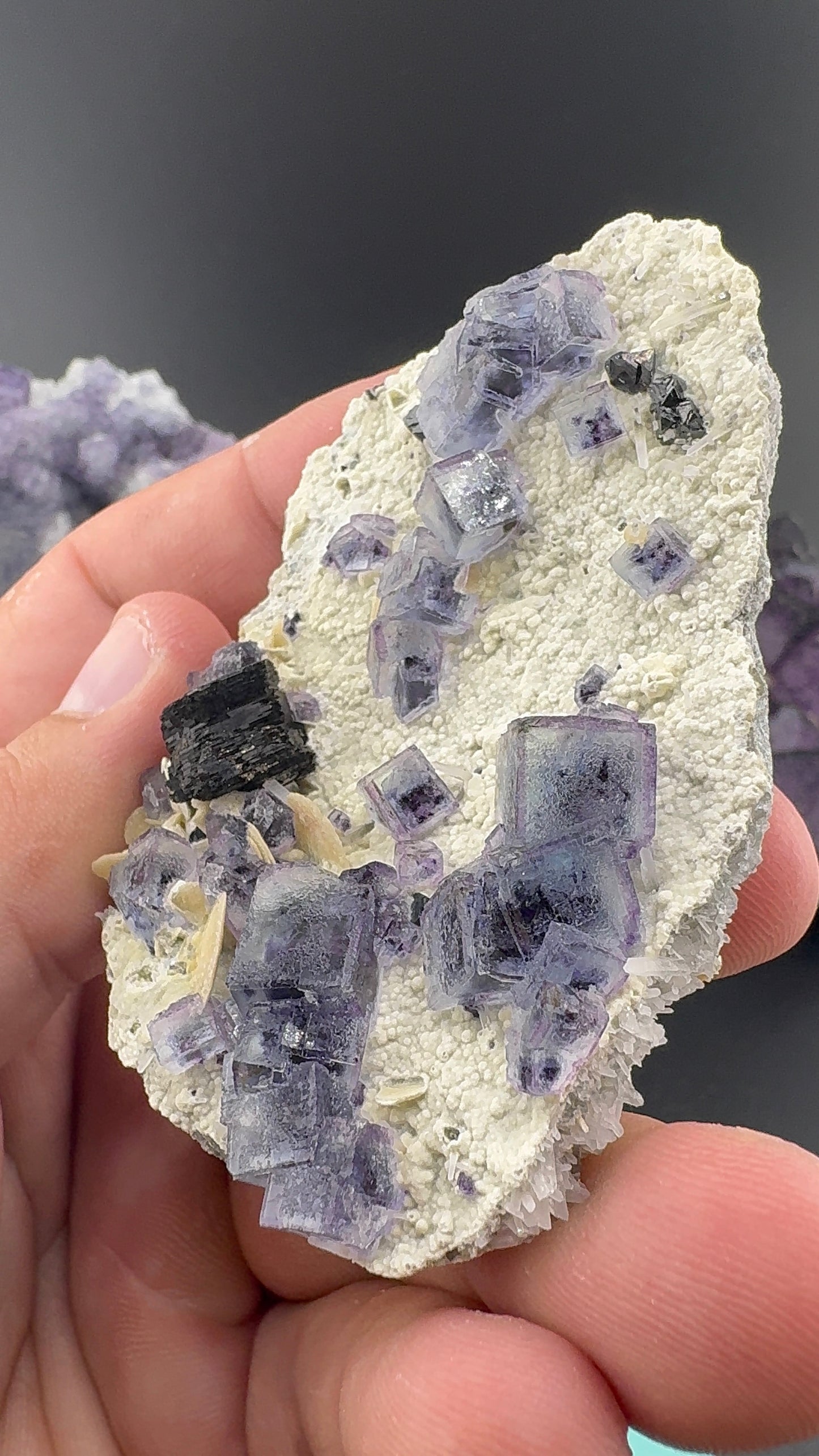 Purple Phantom Fluorite Formation (S13)