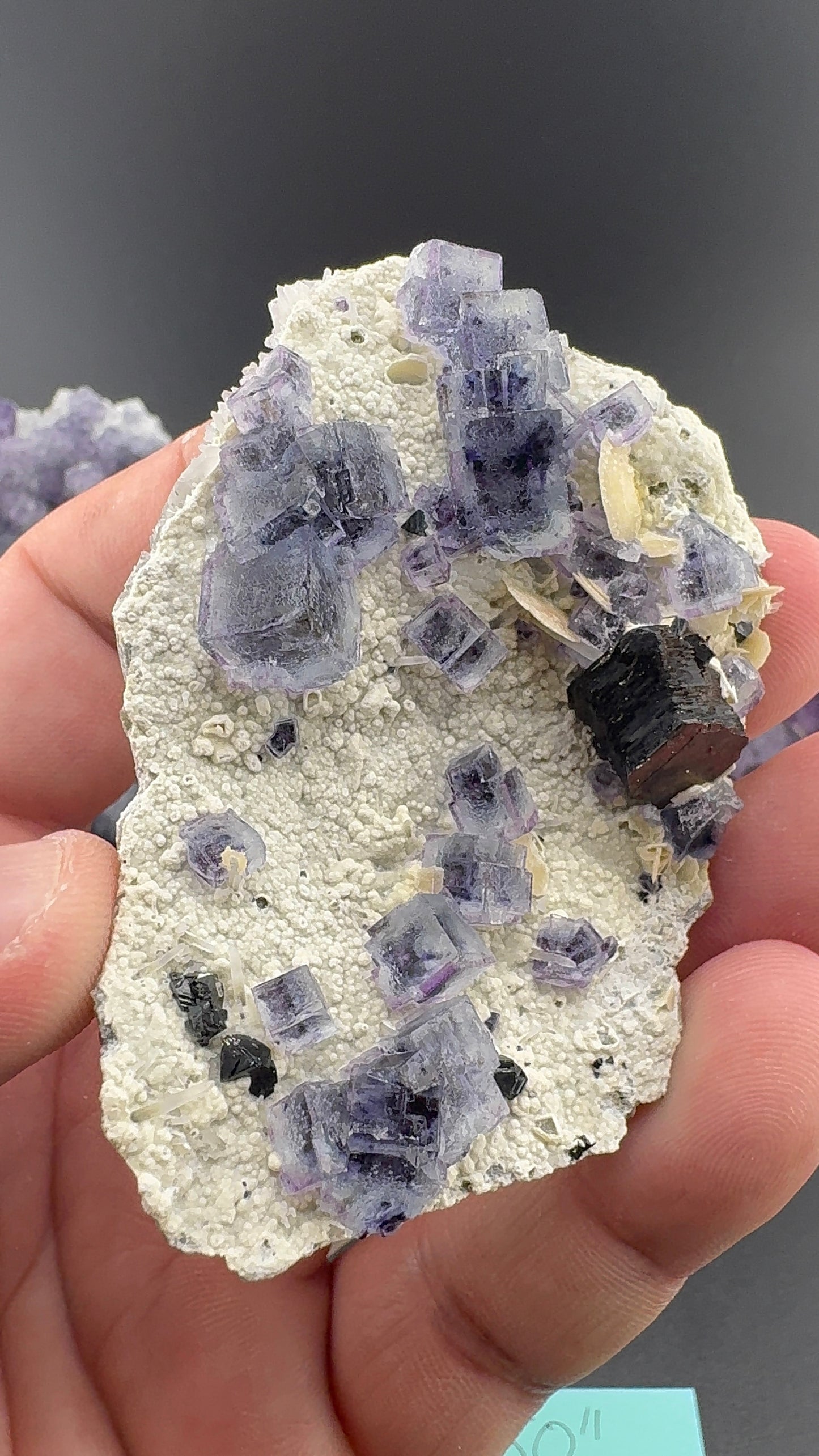 Purple Phantom Fluorite Formation (S13)